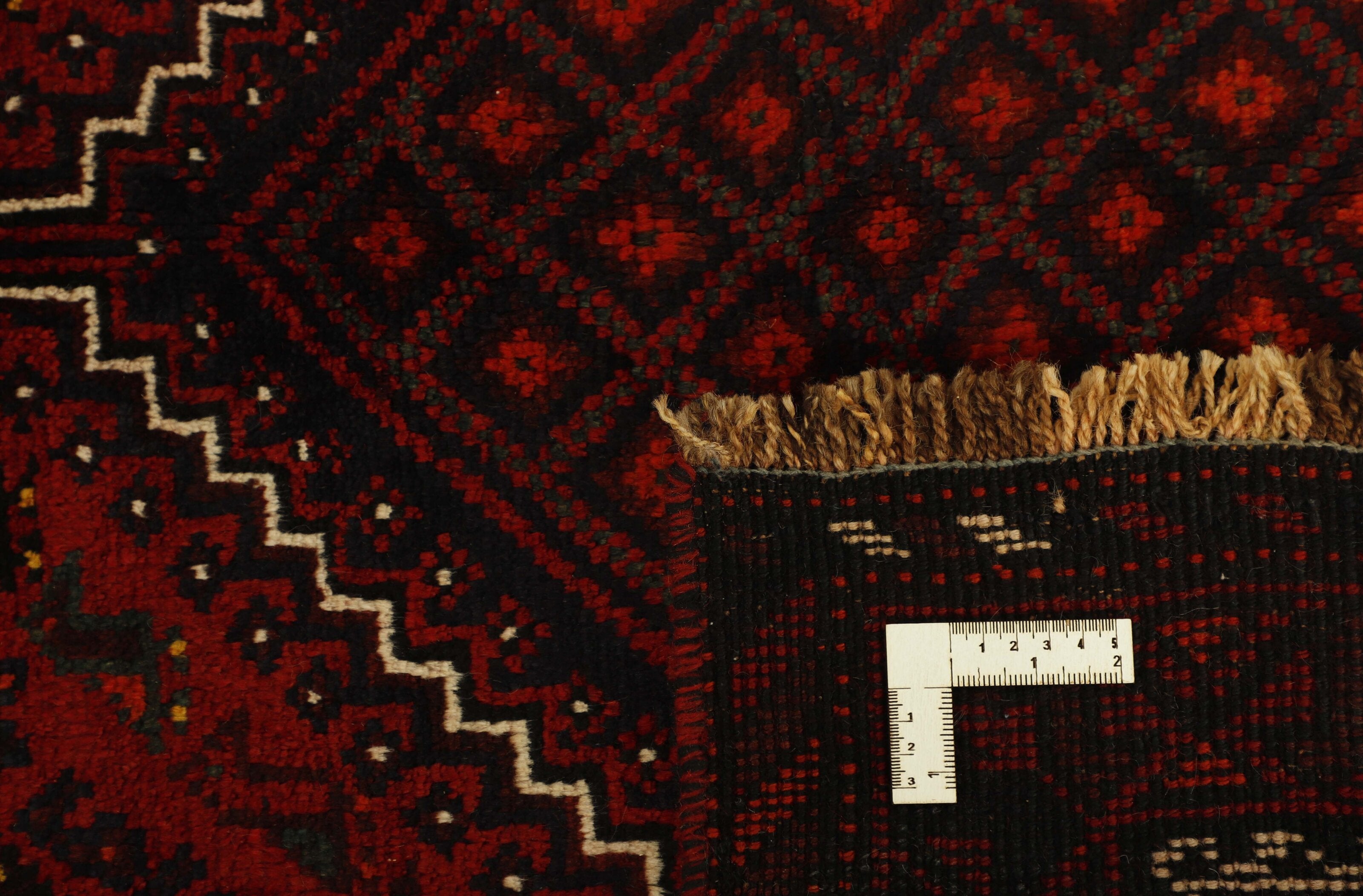 Shiraz 1499798