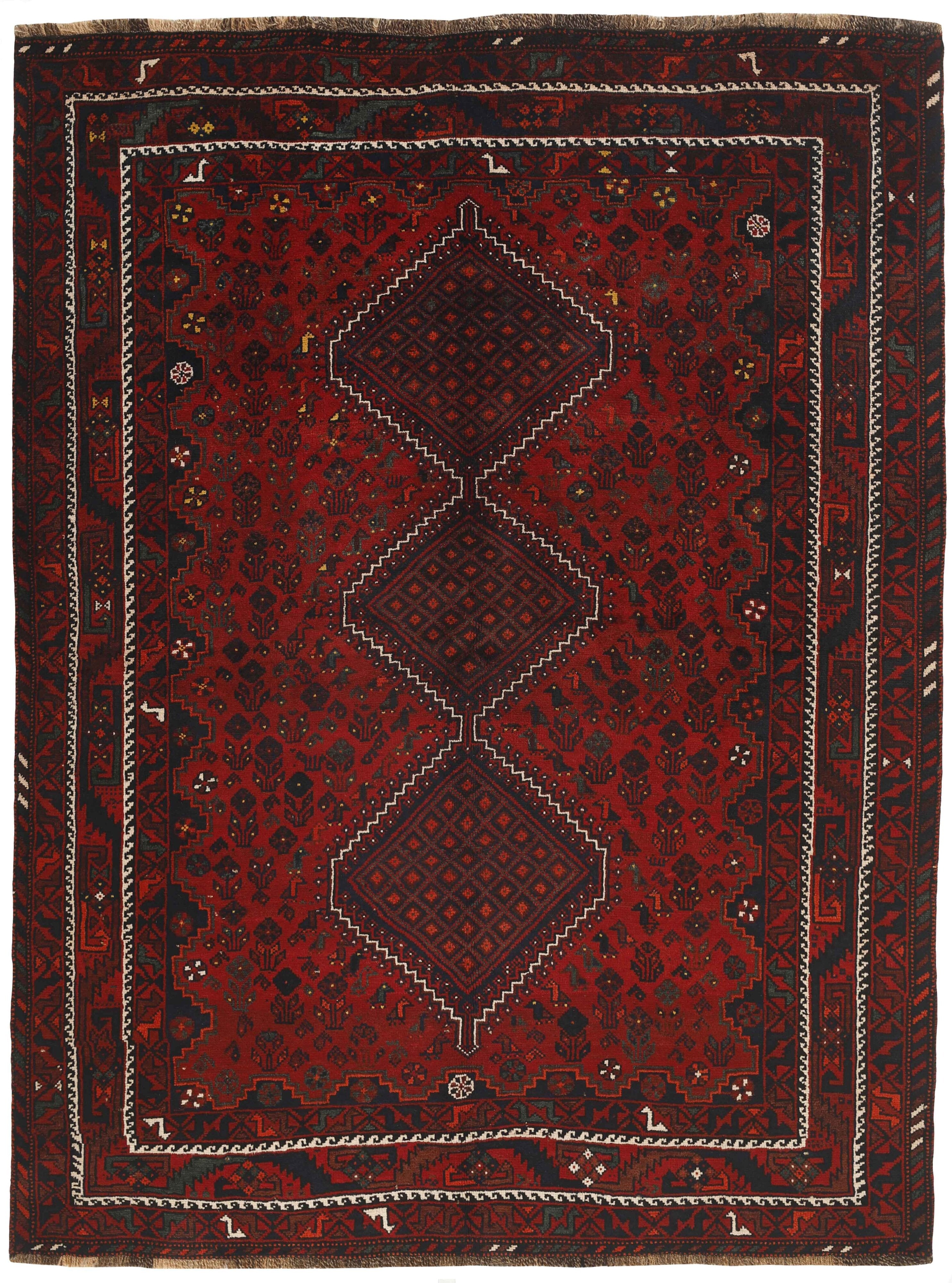 Shiraz 1499798