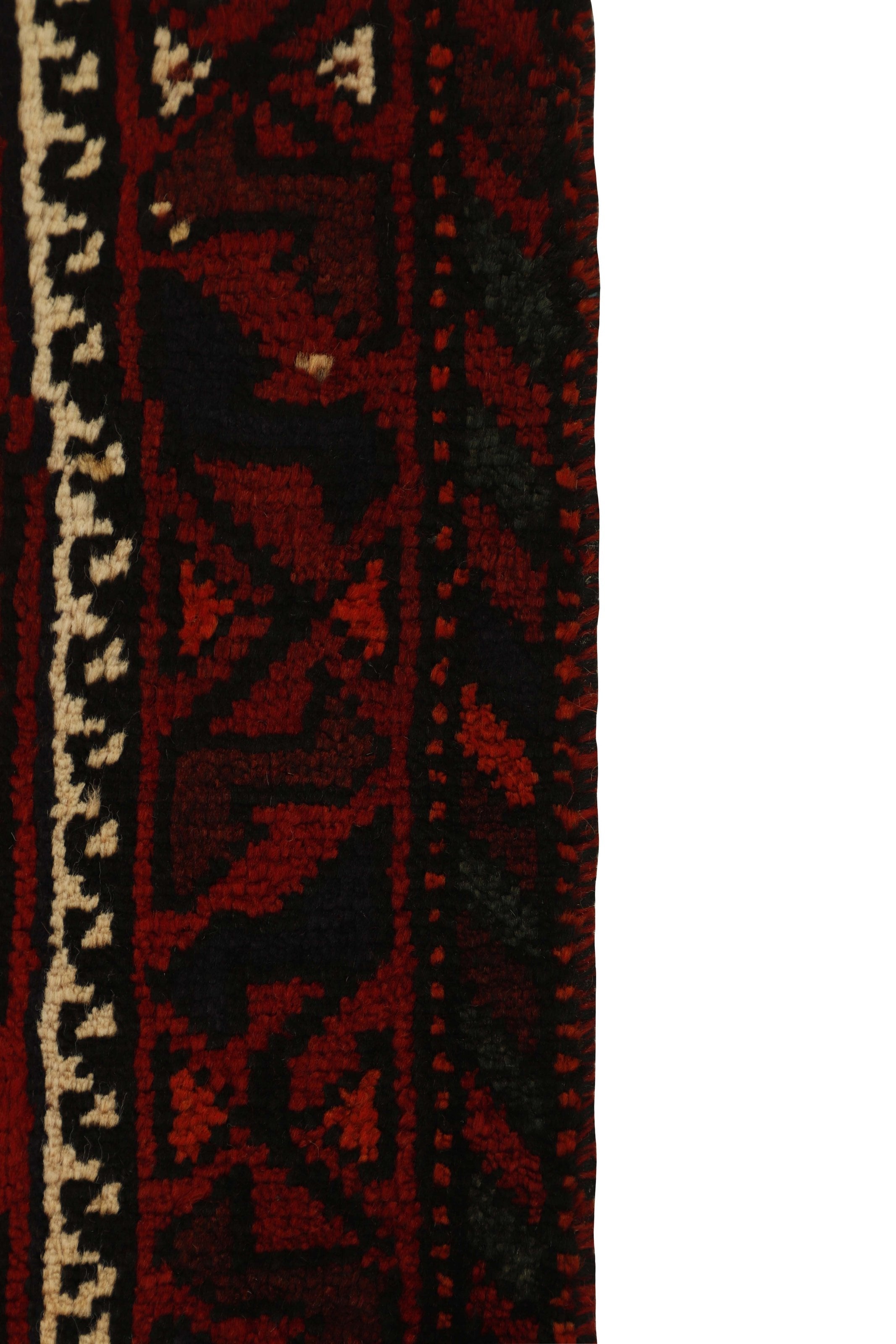 Shiraz 1499798