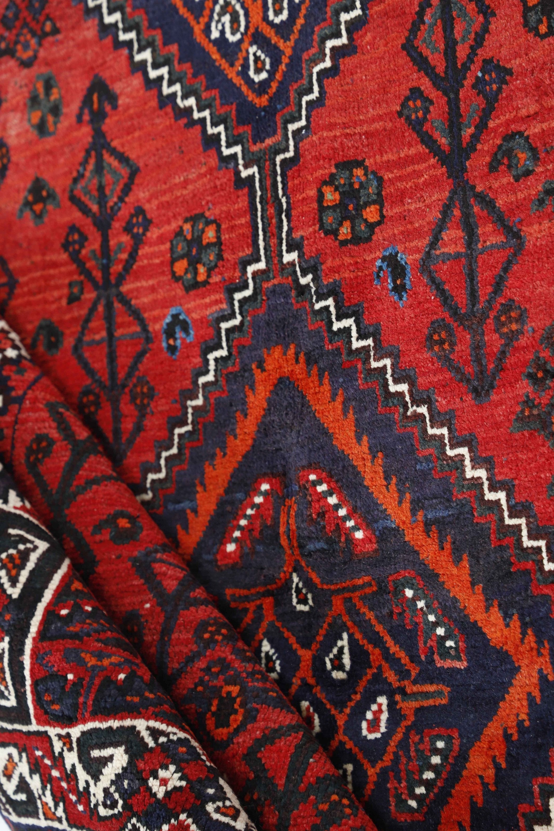 Shiraz 1499799