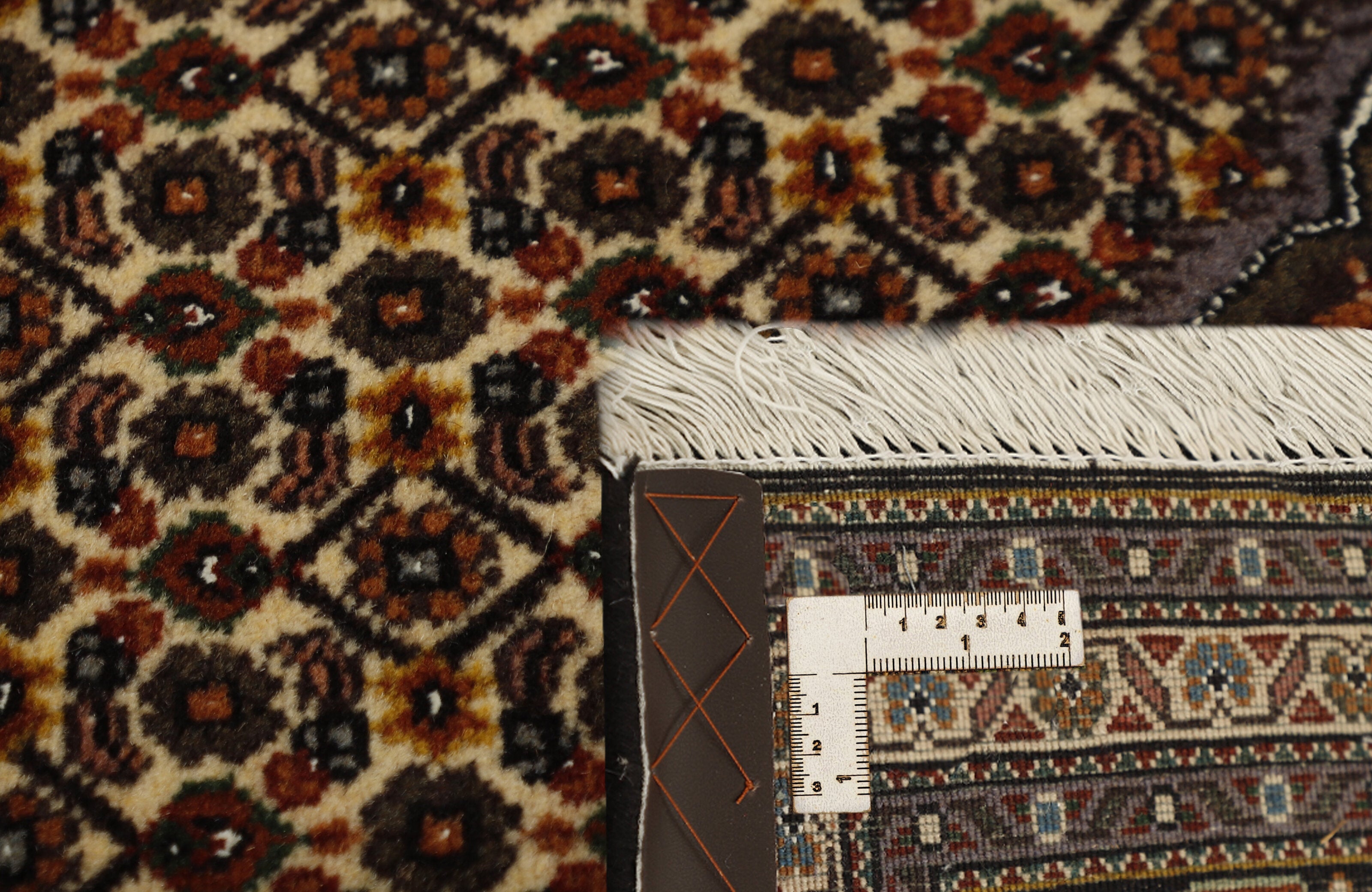 Tabriz 40 Mahi 1511038
