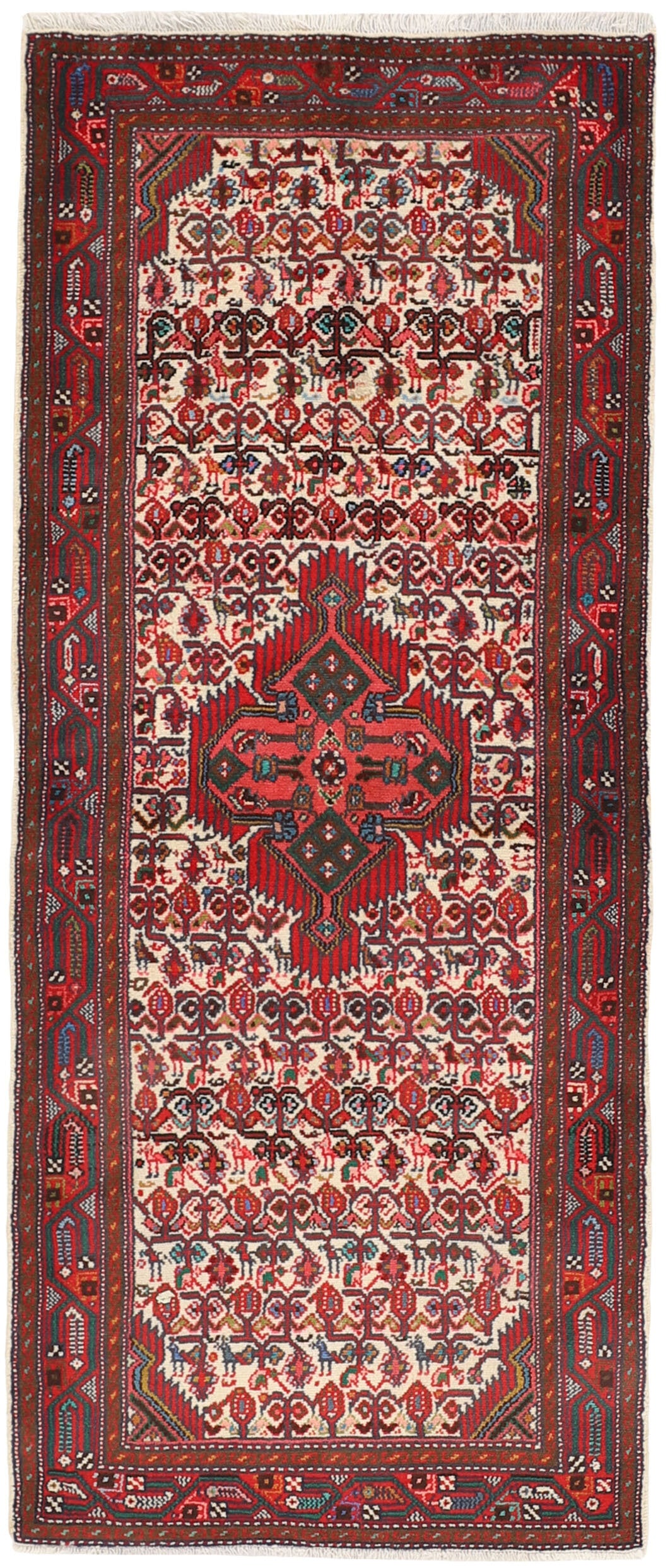 Asadabad Runner 1516226