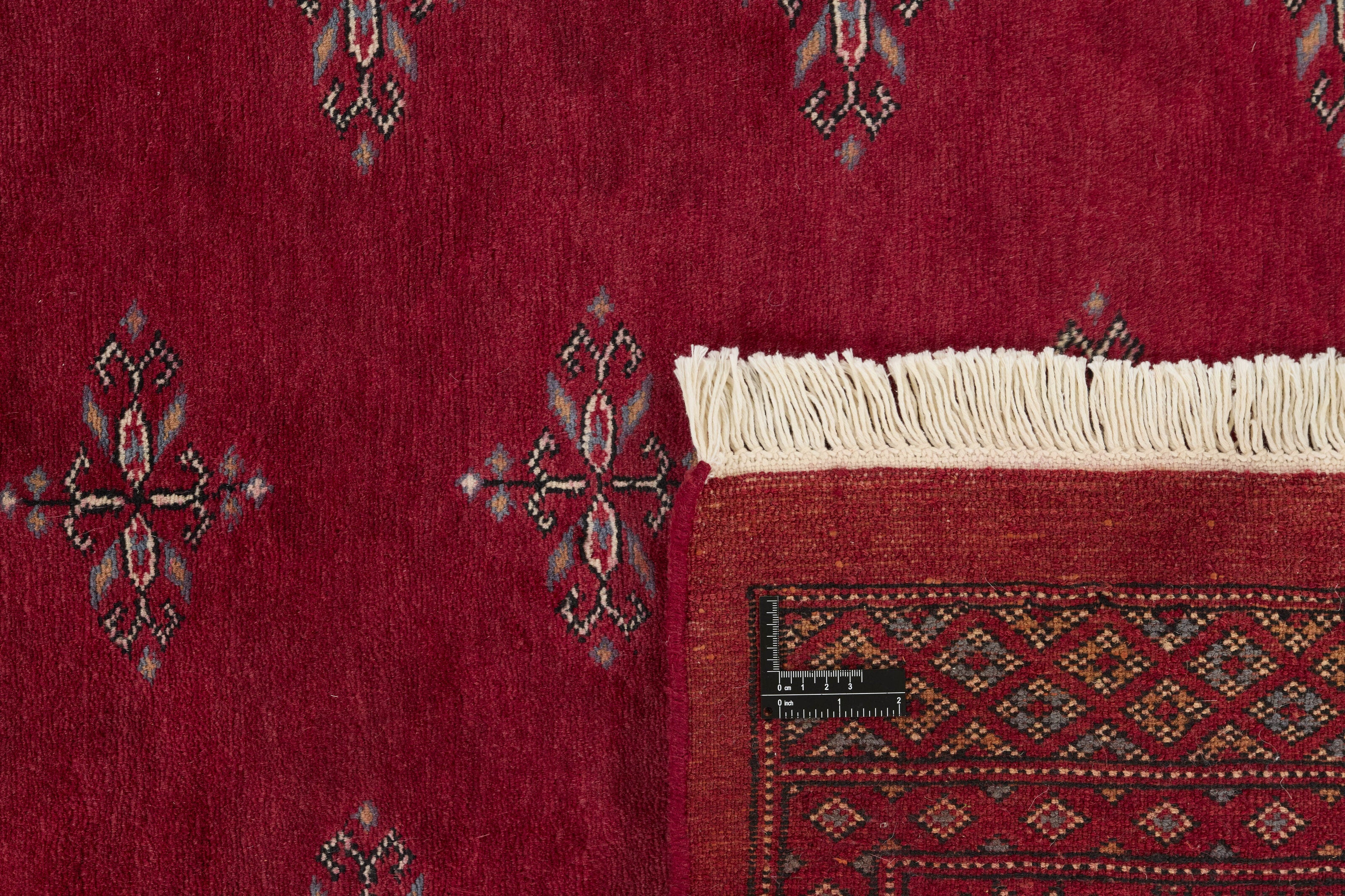 Bokhara 1518801