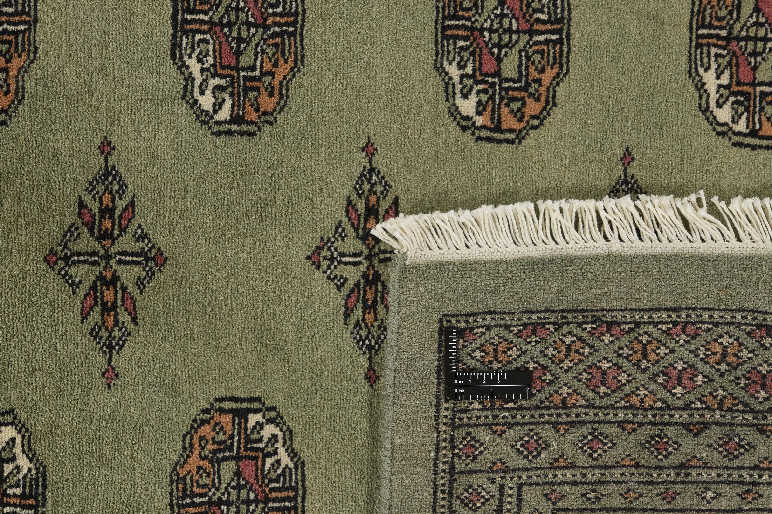 Bokhara 1518913