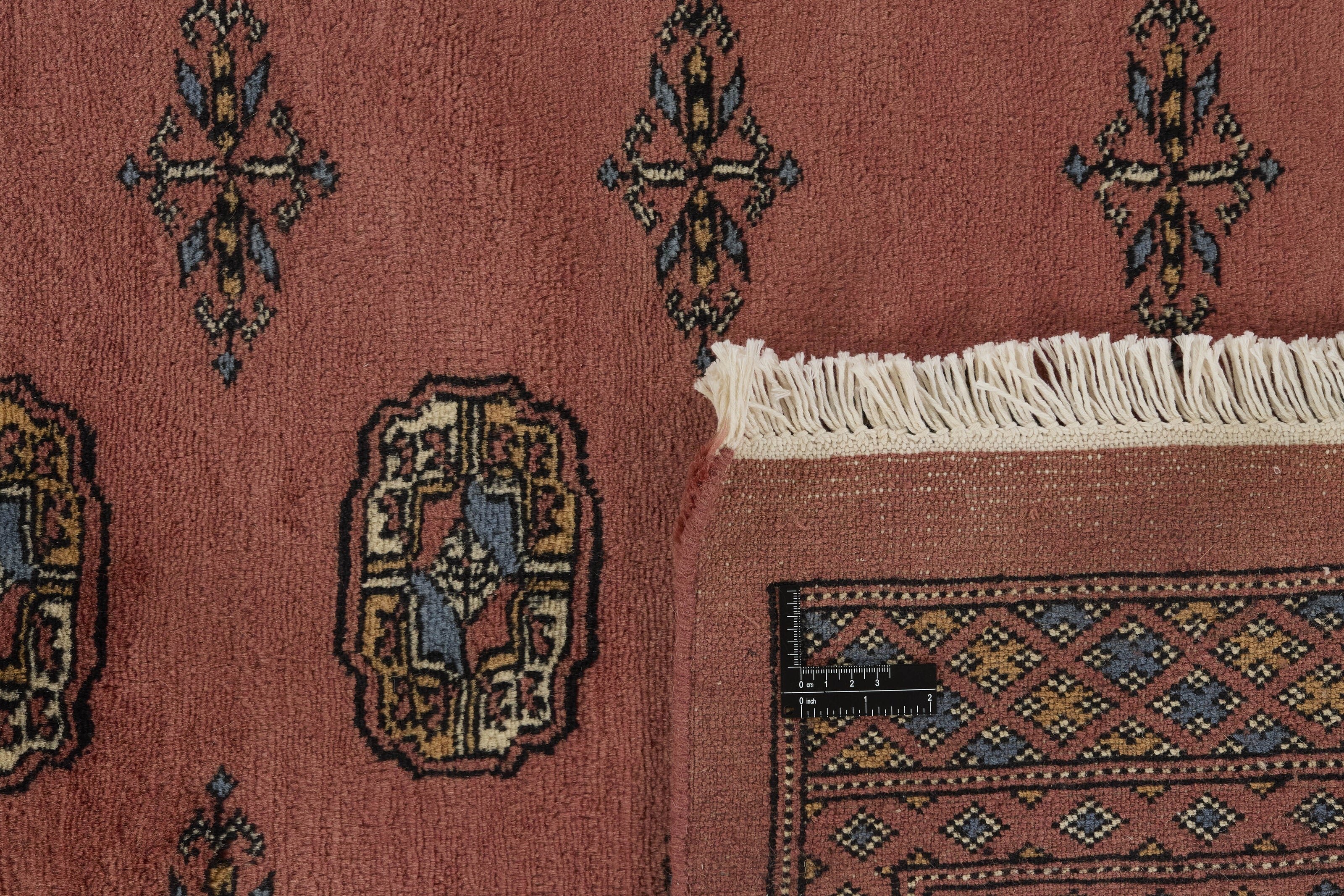 Bokhara 1518931