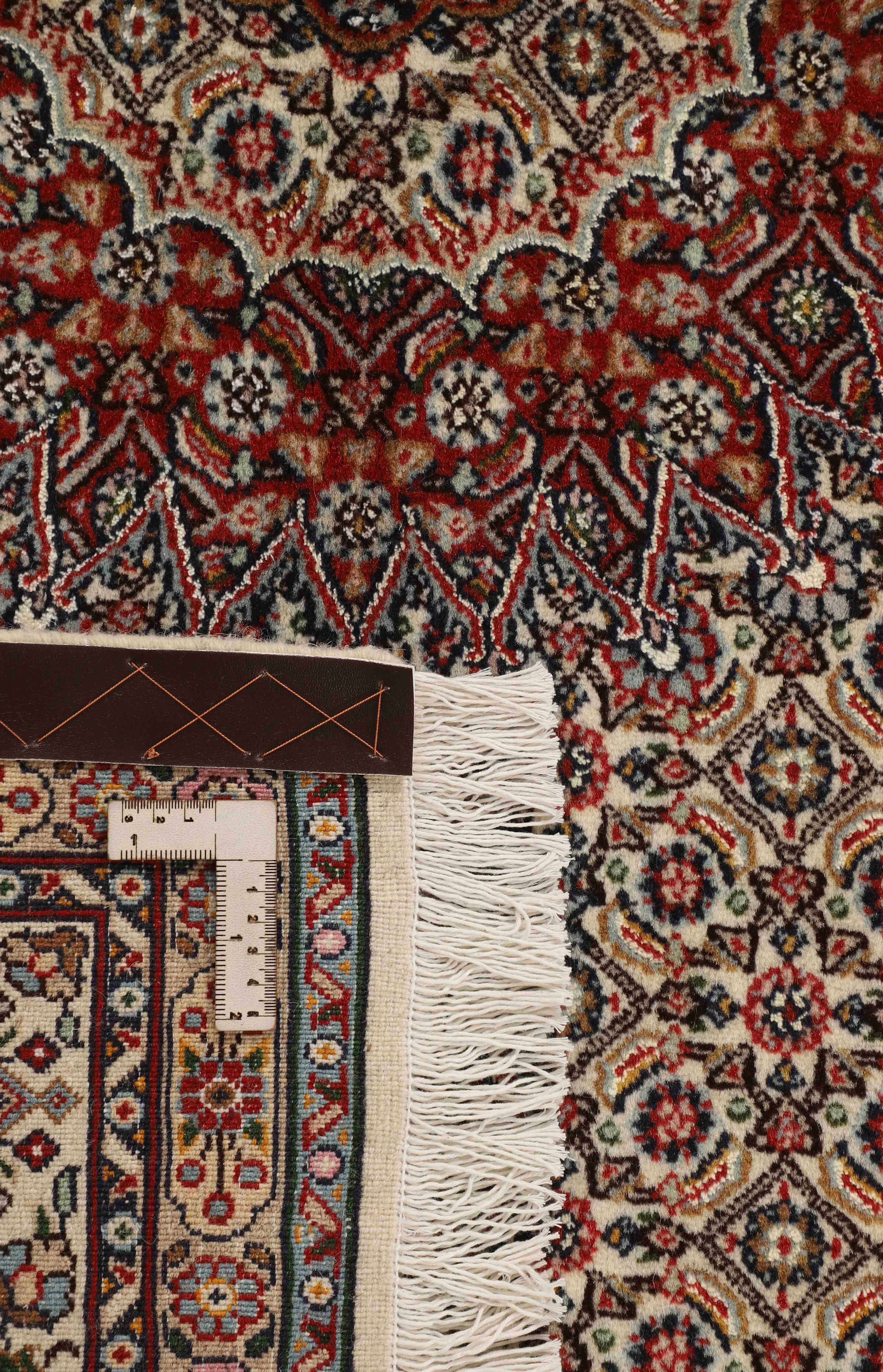 Moud Mahi 1519684
