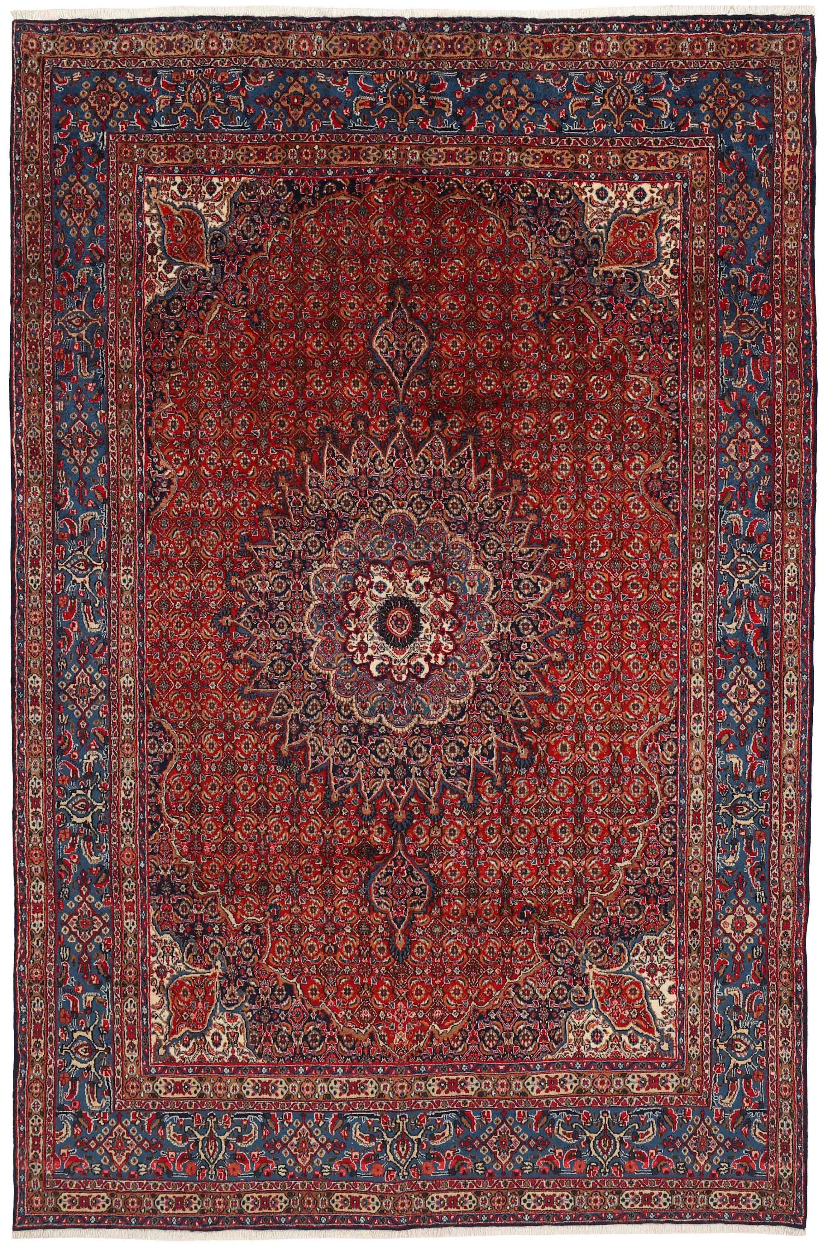 Moud Mahi 1519712