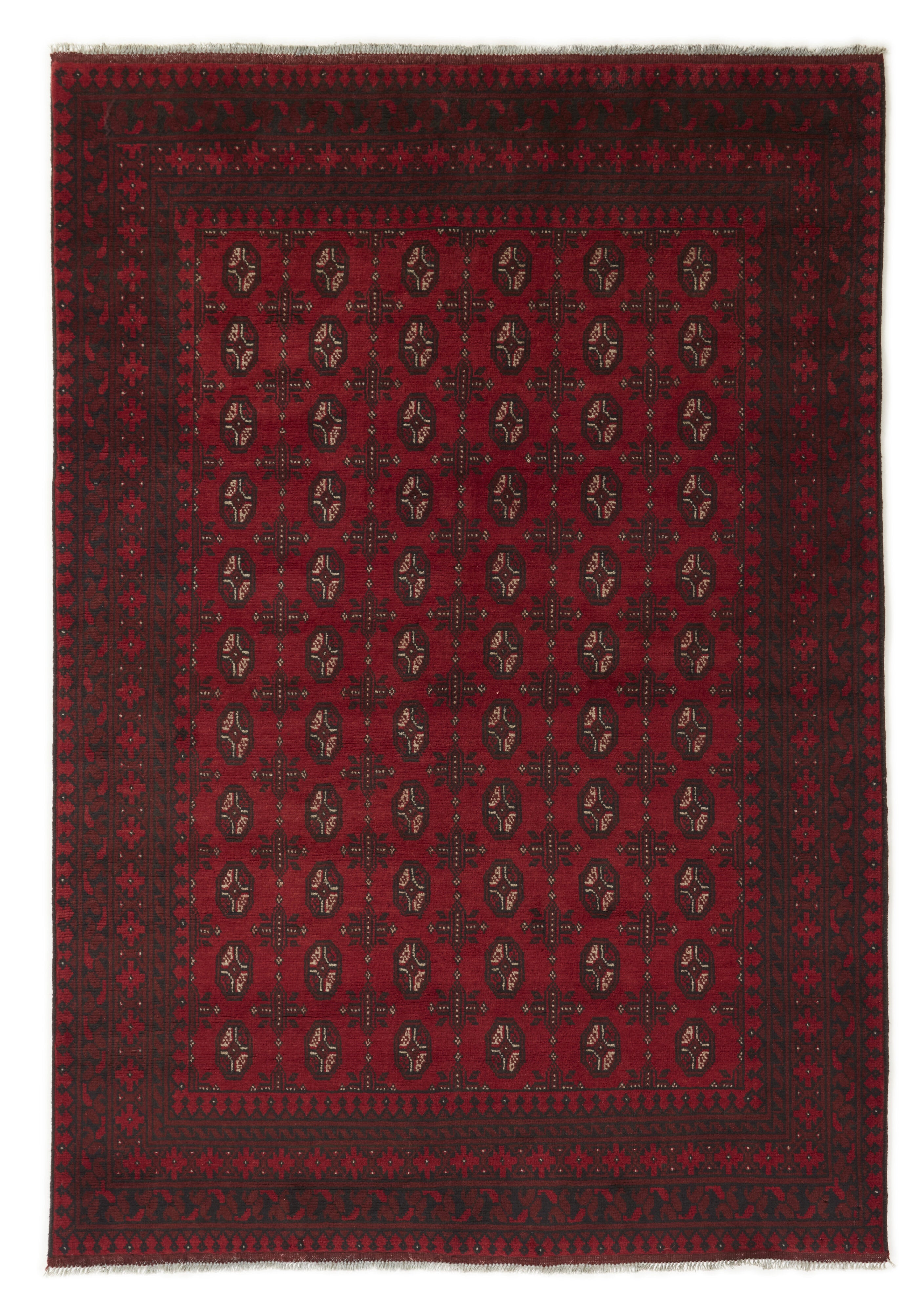 Aktscha 1522764