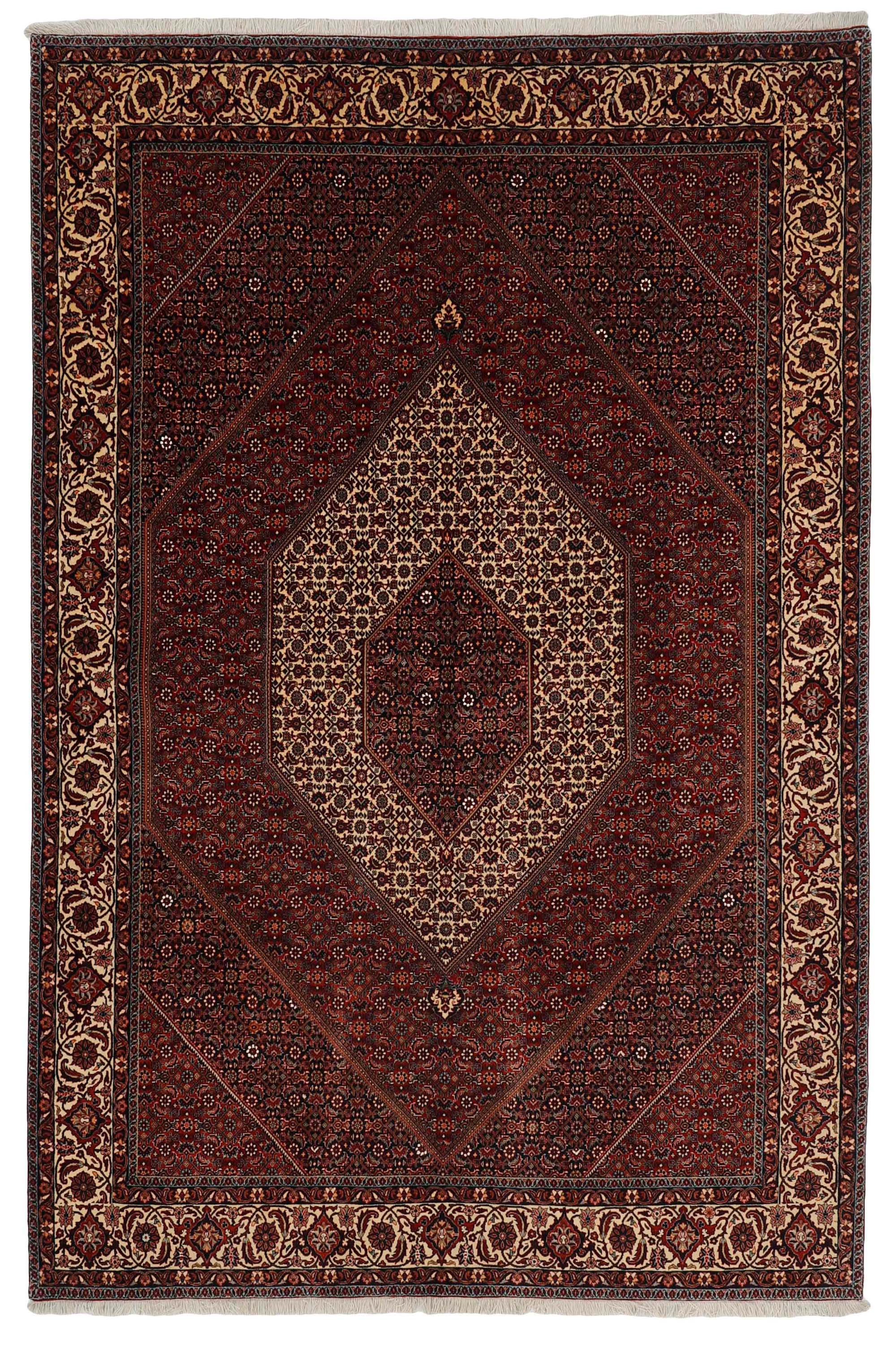 Traditional bordered Bidjar rug in red, cream, and black tones