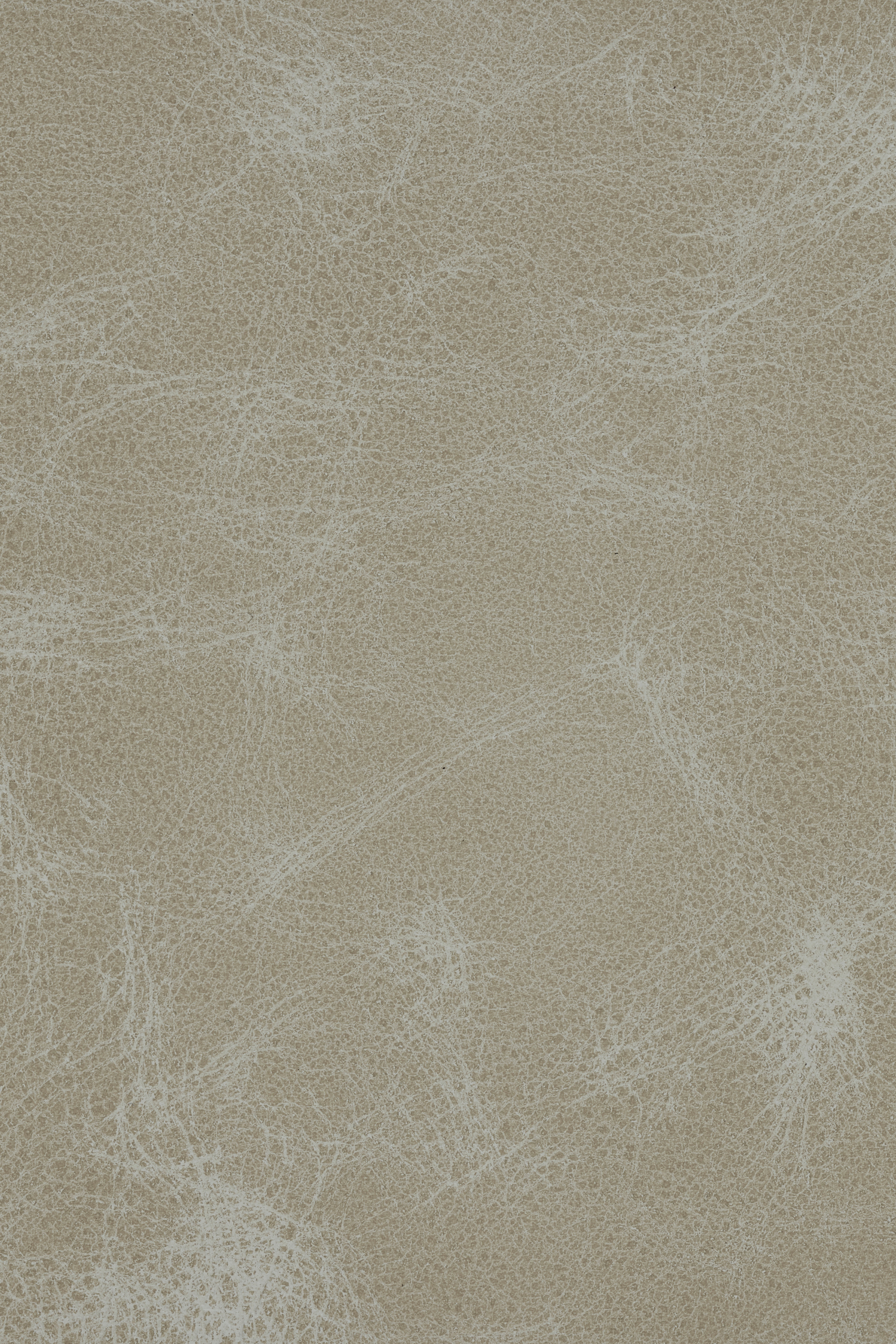 Custom Alpine Birch Wool Rug with Antique Leather Border in Pearl