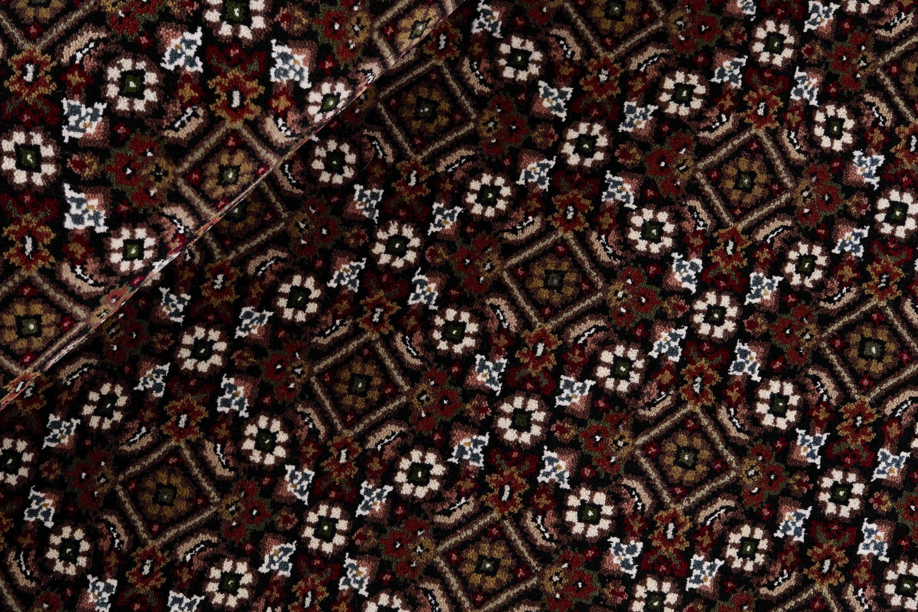 Tabriz Indi 1496882