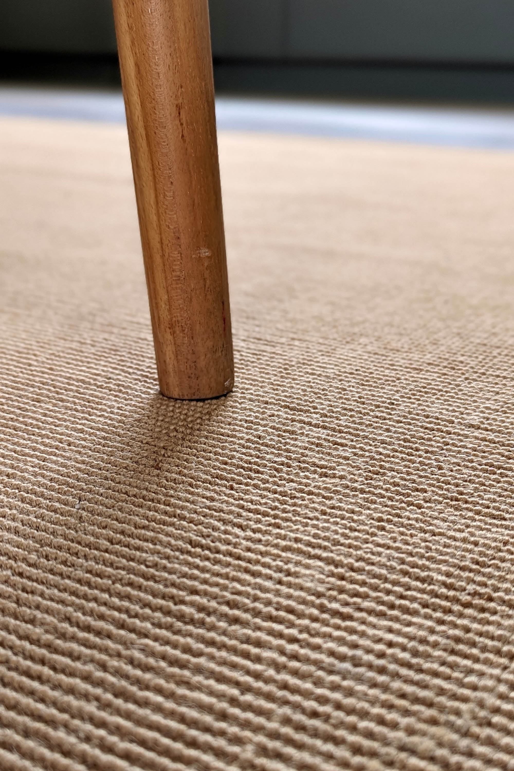 Sisal rug with blue linen border
