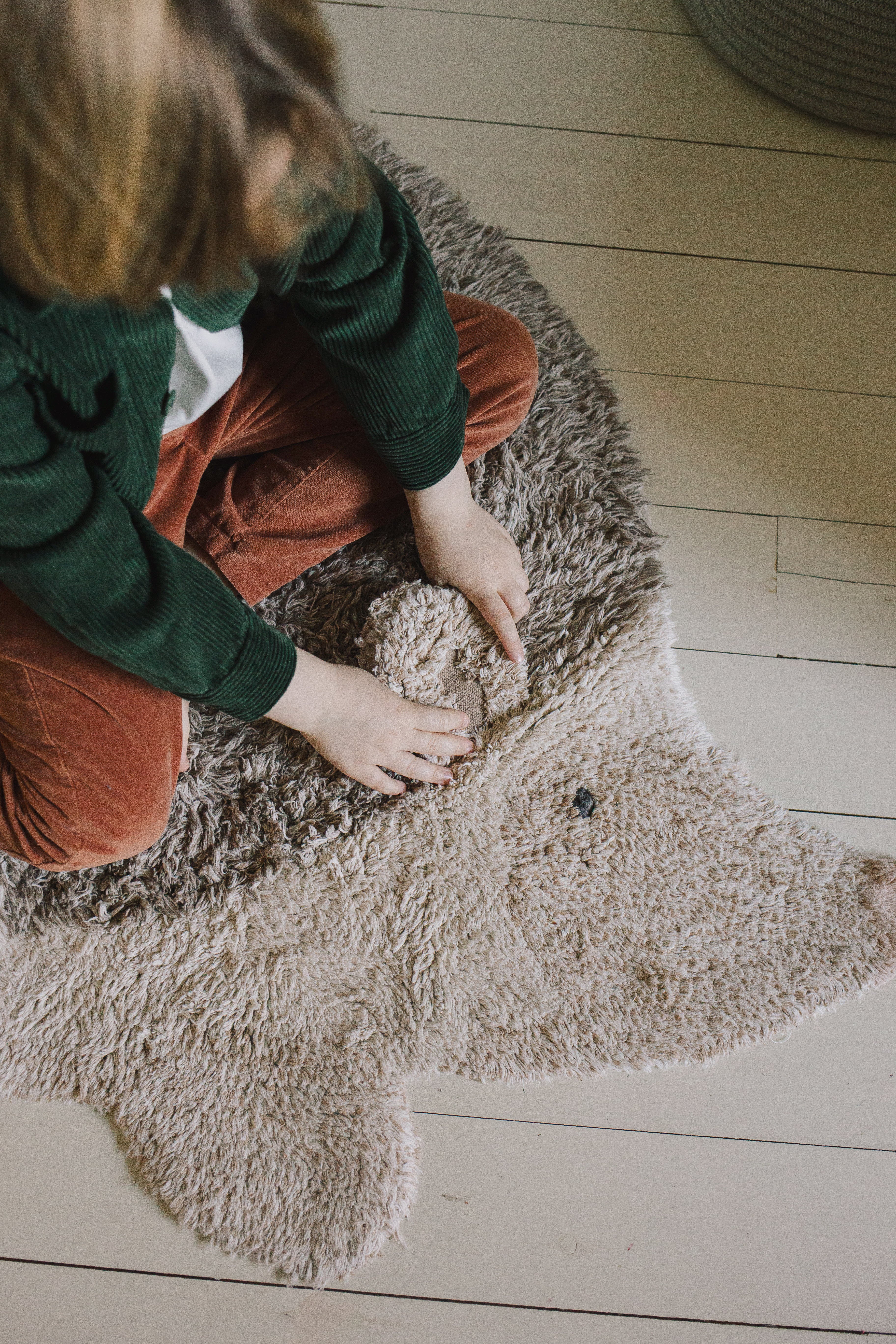 Hedgehog Animal Rug