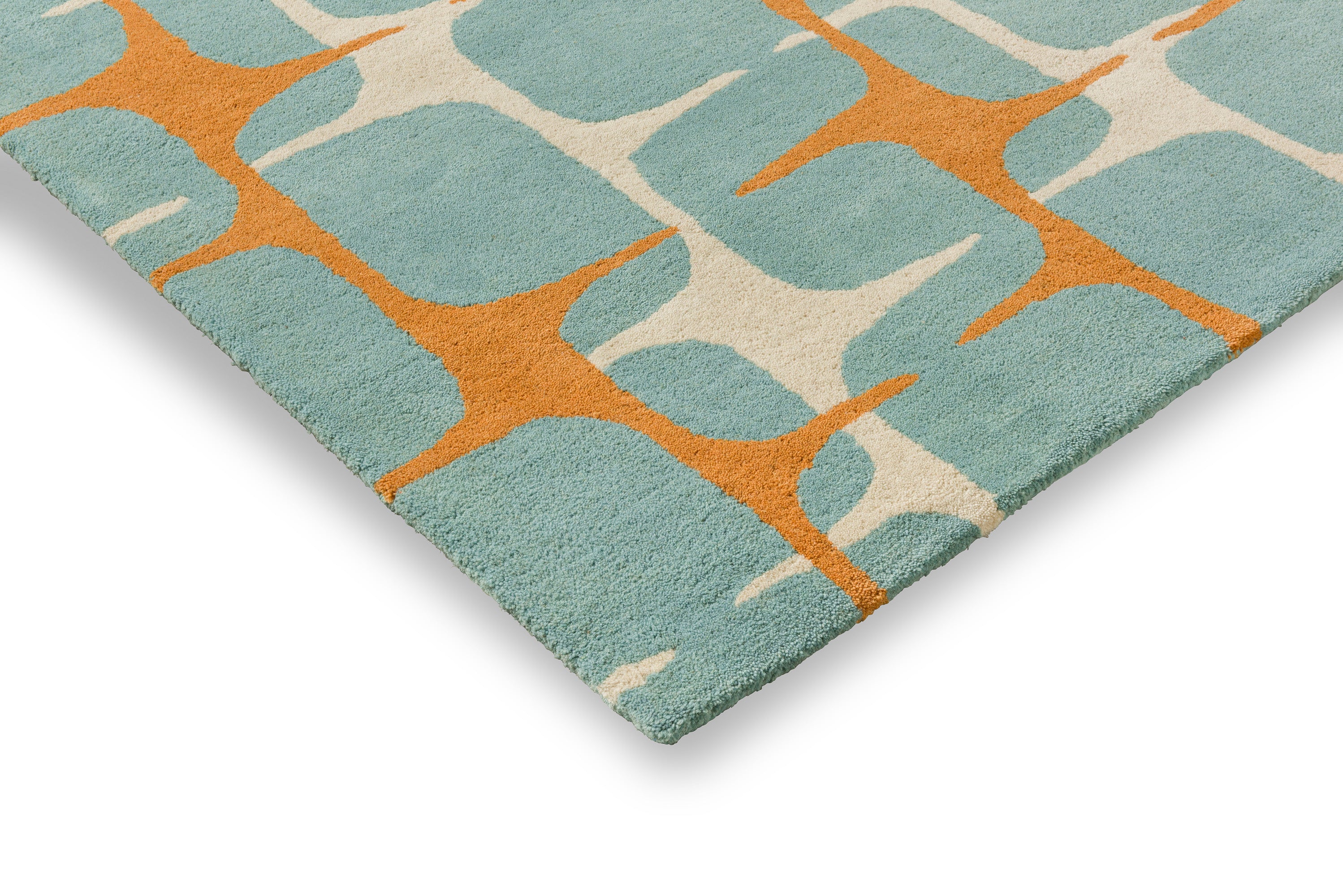 Scion Going Lohko Sky 123218