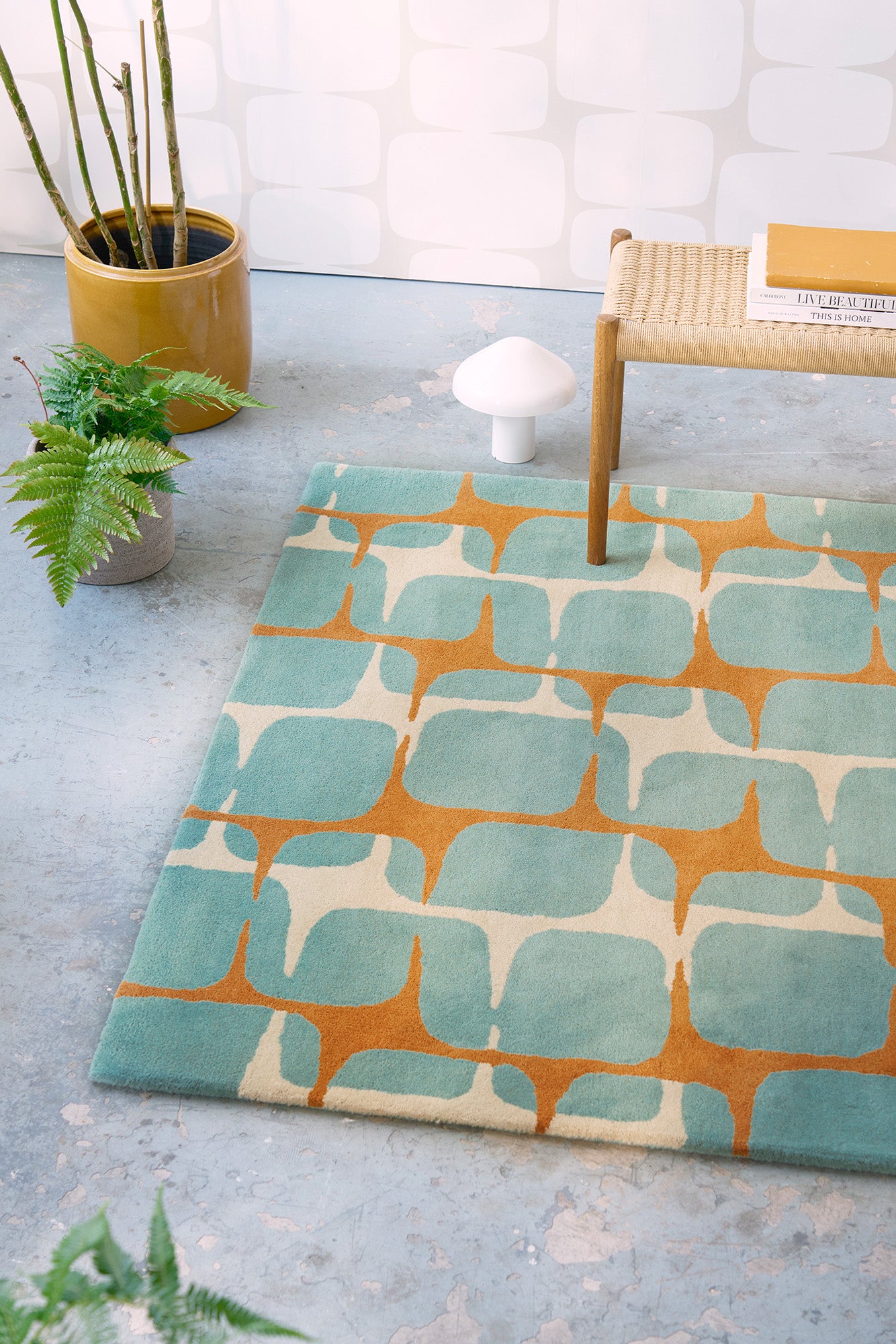 Scion Going Lohko Sky 123218