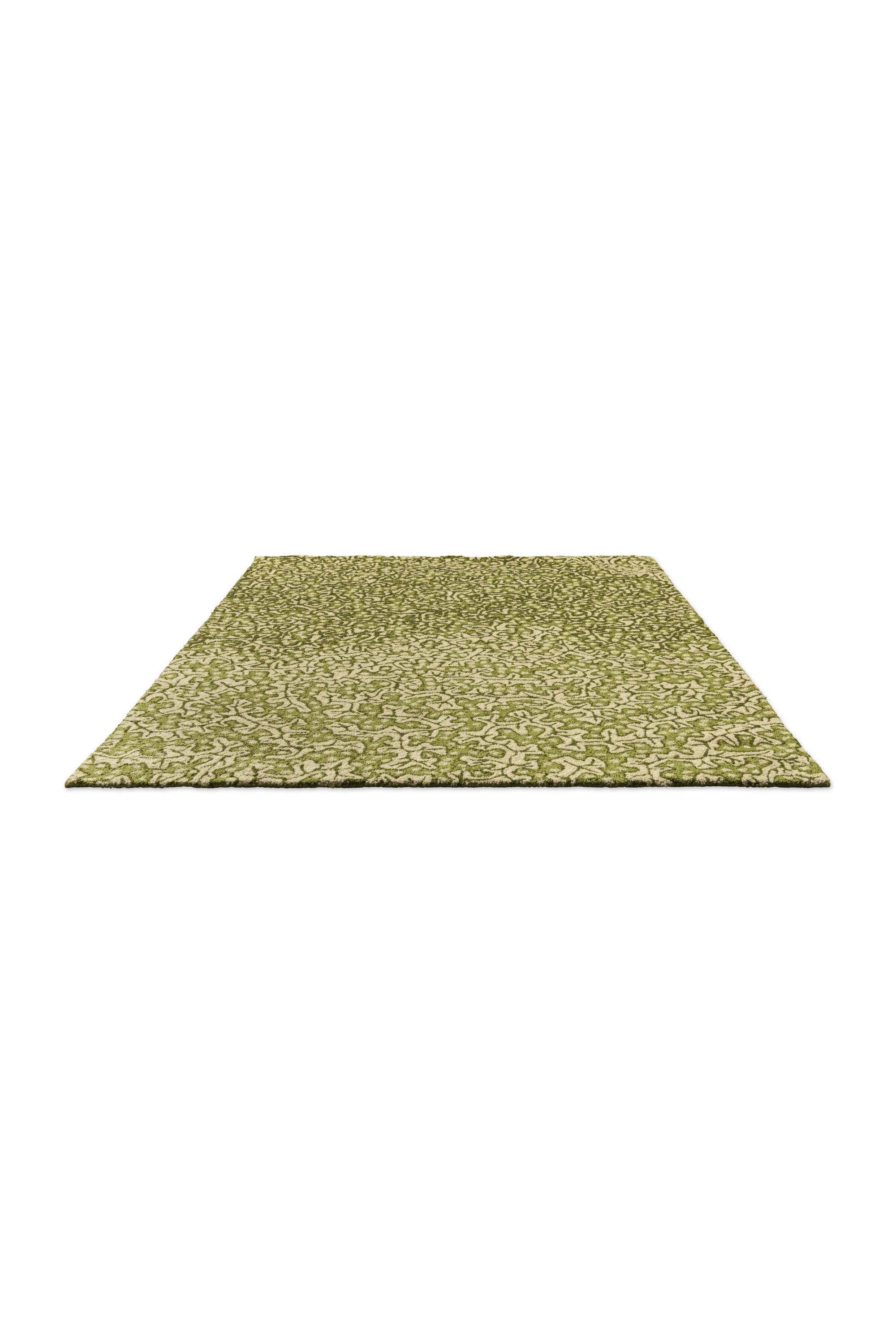 Sanderson Truffle Olive Outdoor 446007