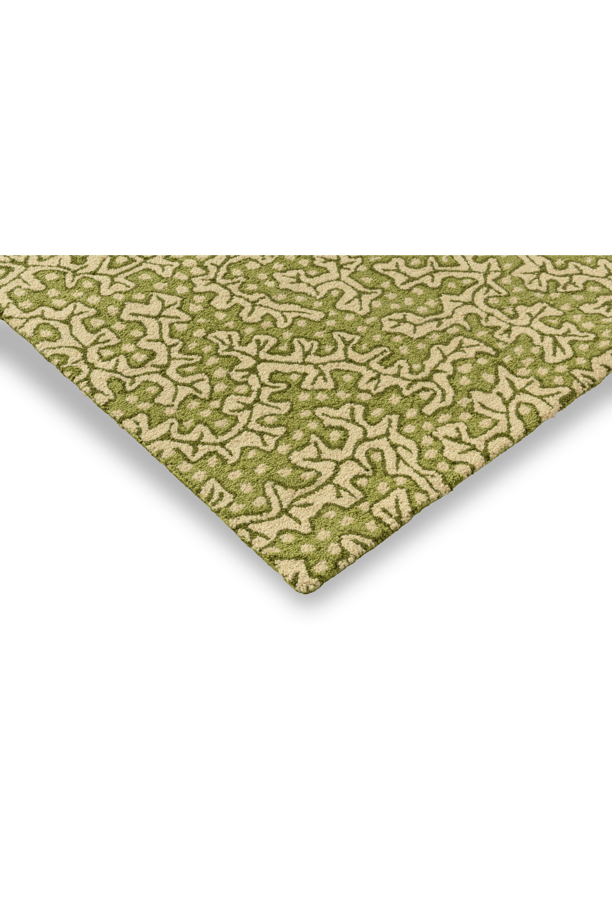 Sanderson Truffle Olive Outdoor 446007