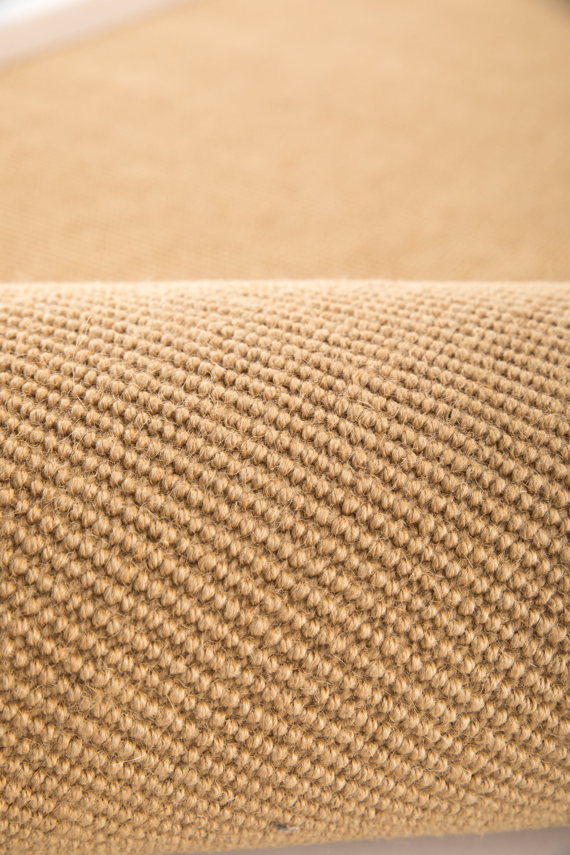 Sisal rug with beige linen border