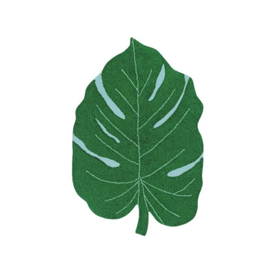 Monstera Leaf