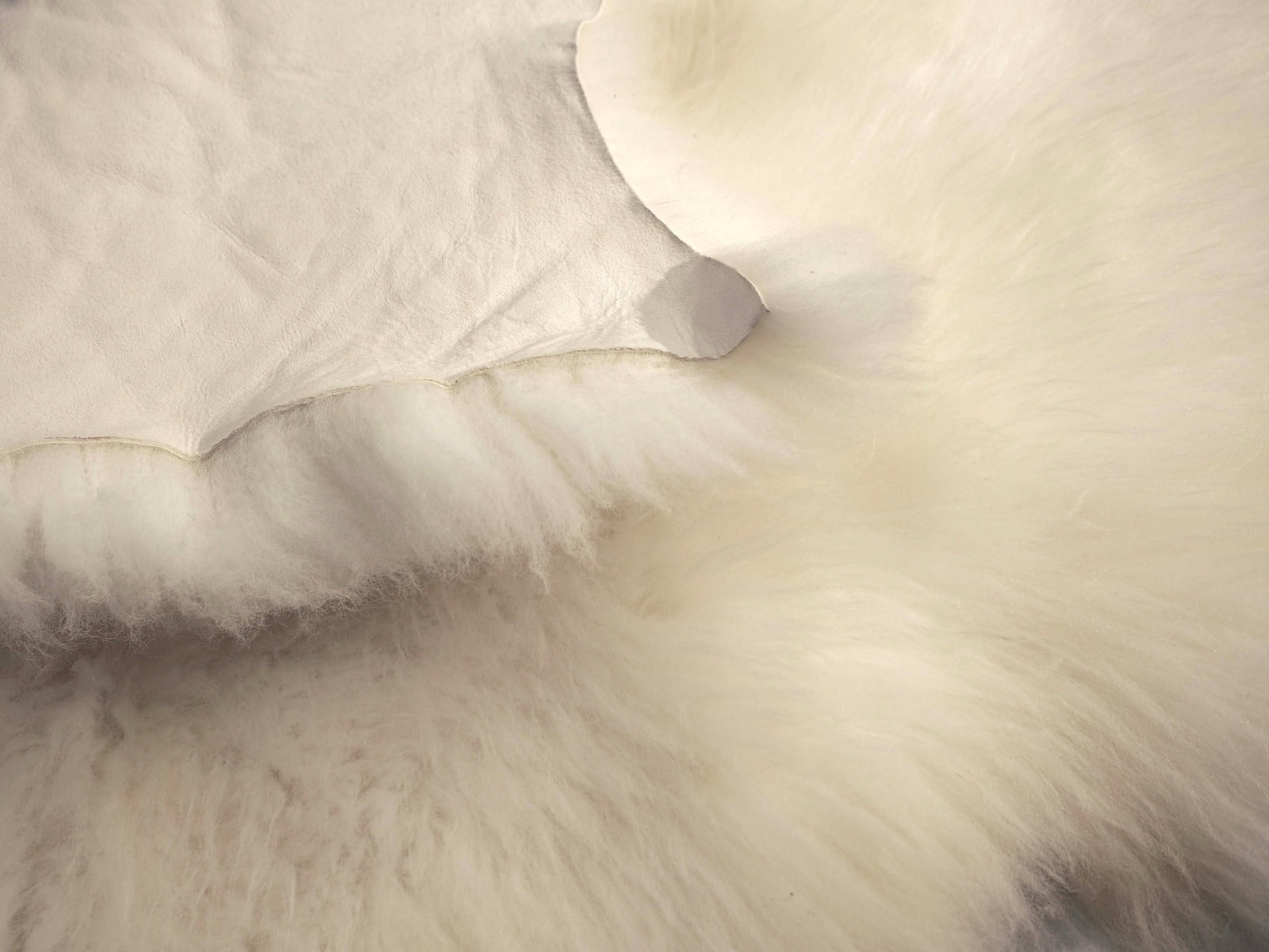 double Irish cream sheepskin rug