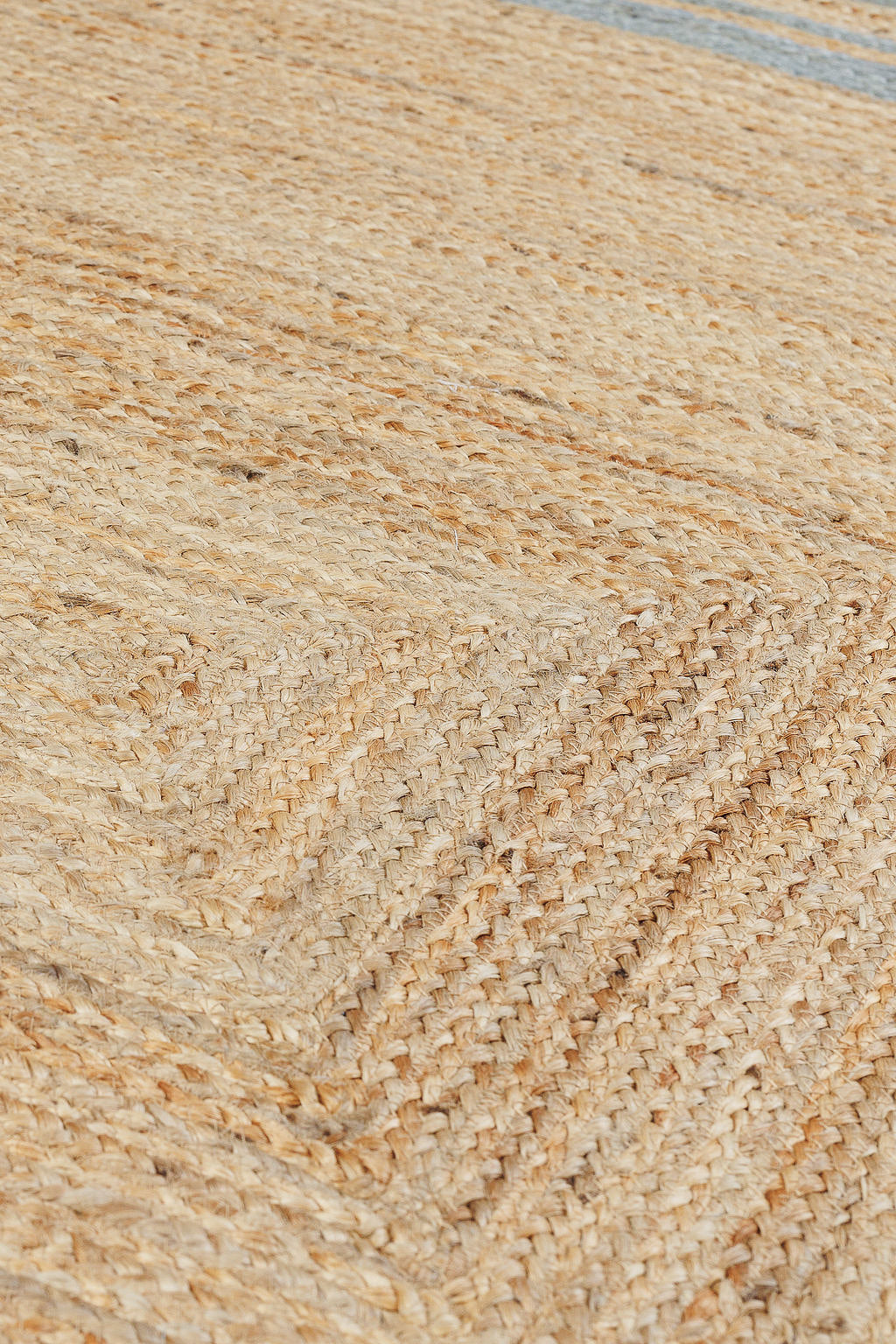 Jute Rug with Blue Border