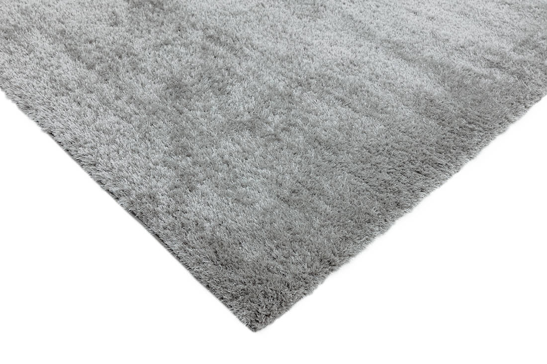 Payton Silver Rug
