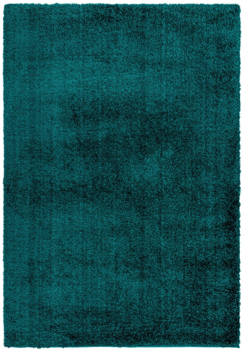 teal shaggy rug