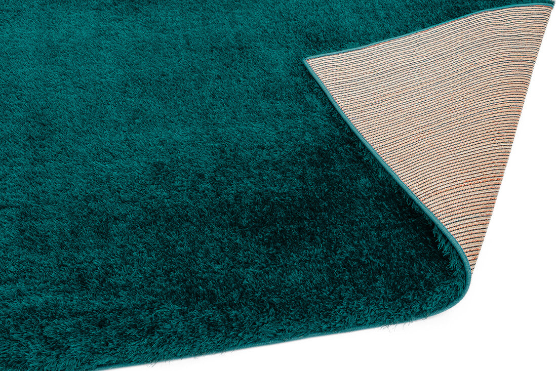 teal shaggy rug
