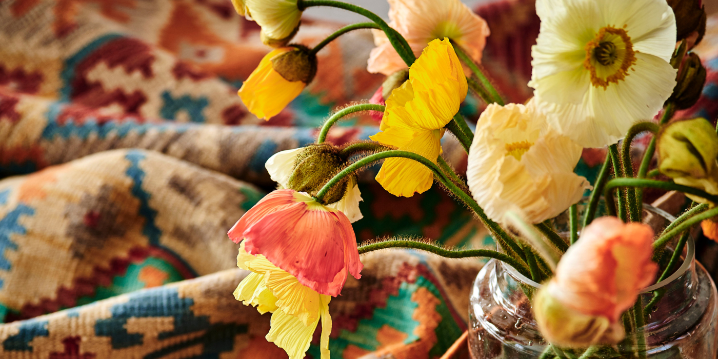 The Art of Afghan Kilim Rugs