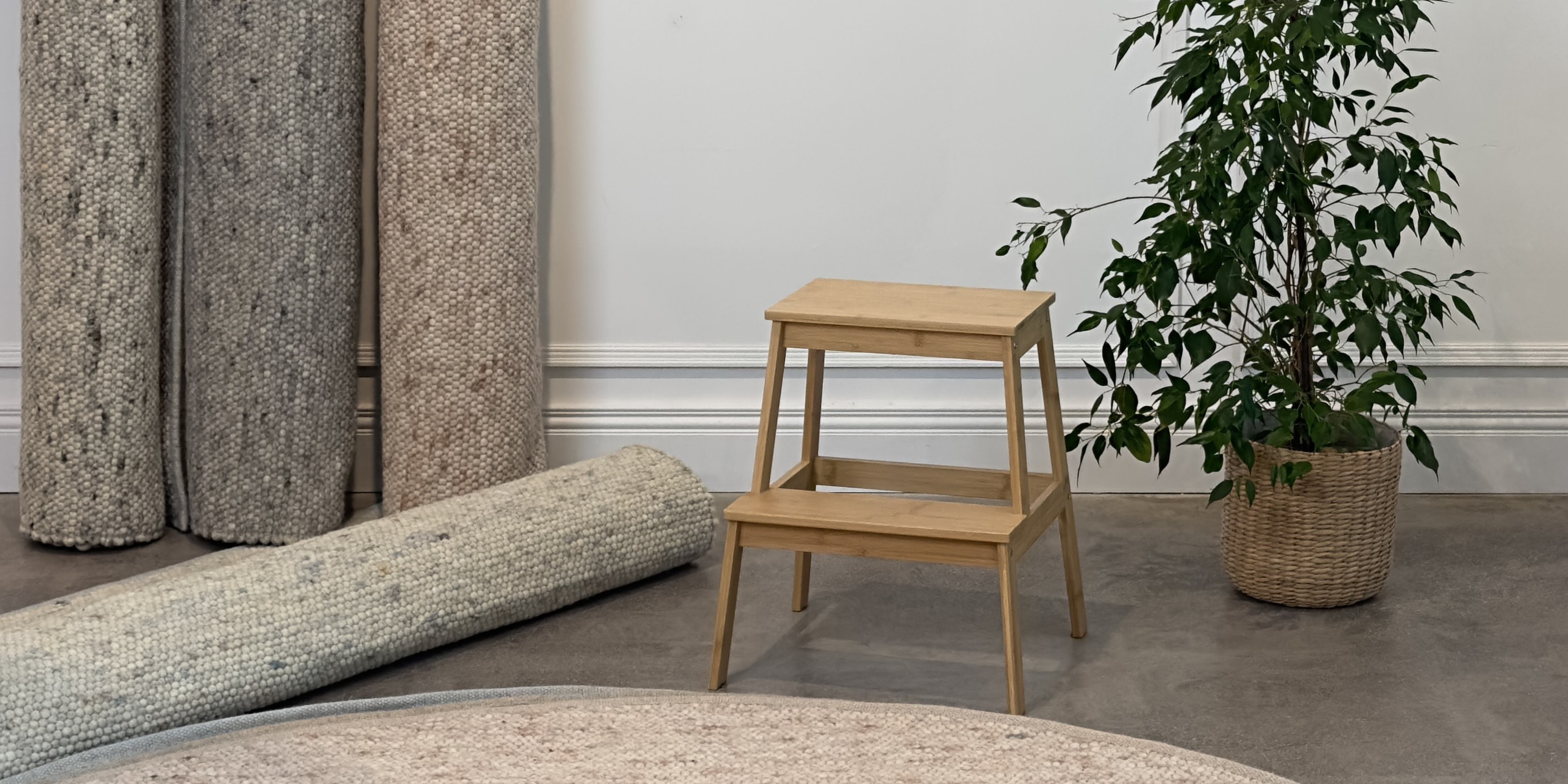 Introducing the Tisca Sofia Collection