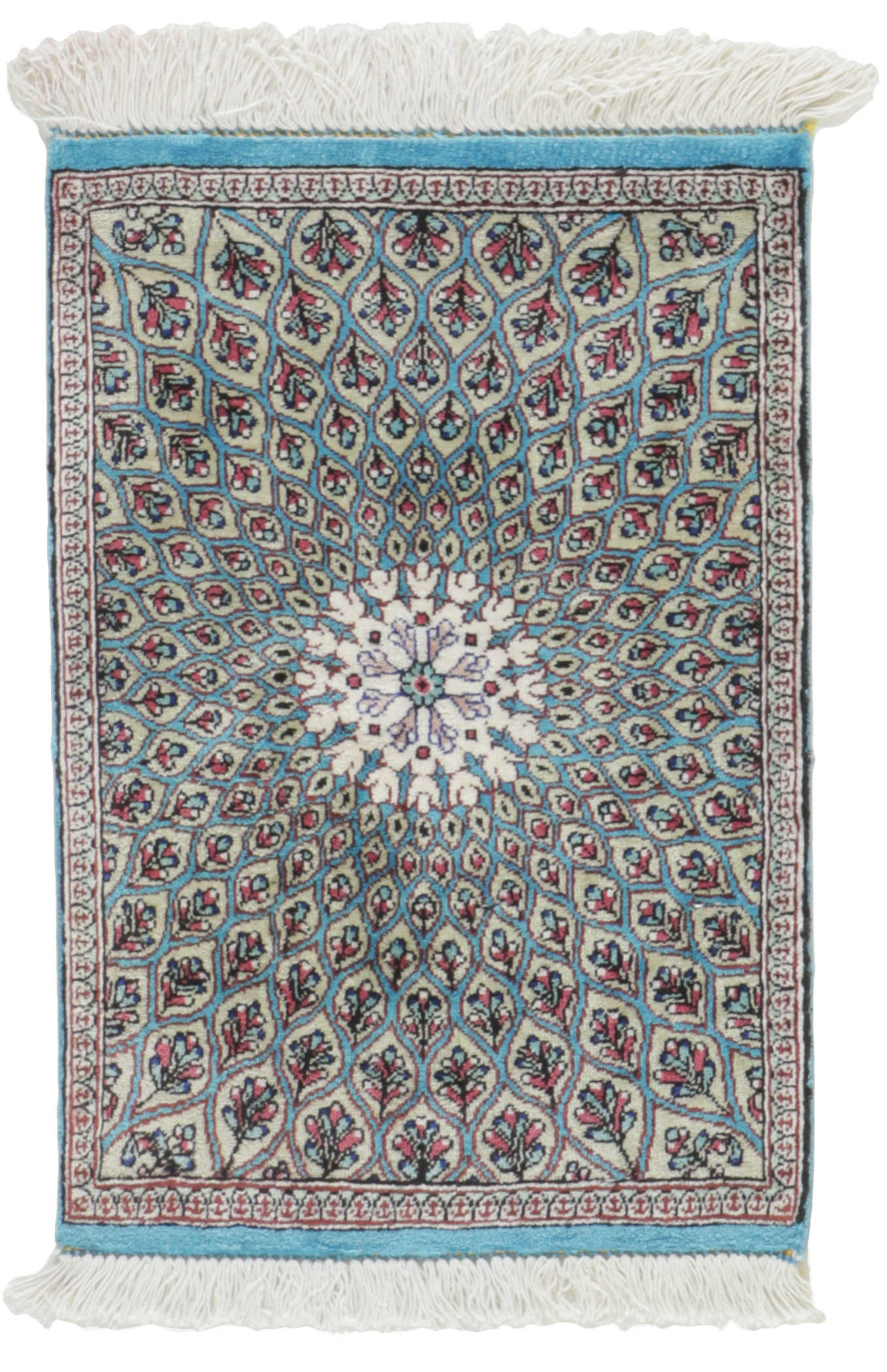 Authentic persian rug with traditional floral design in red and black
