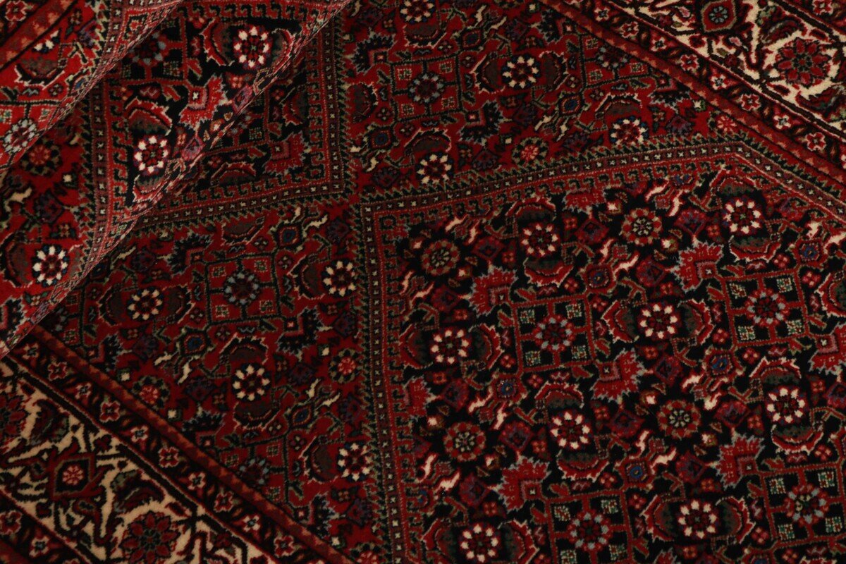 Bidjar Runner 1324813