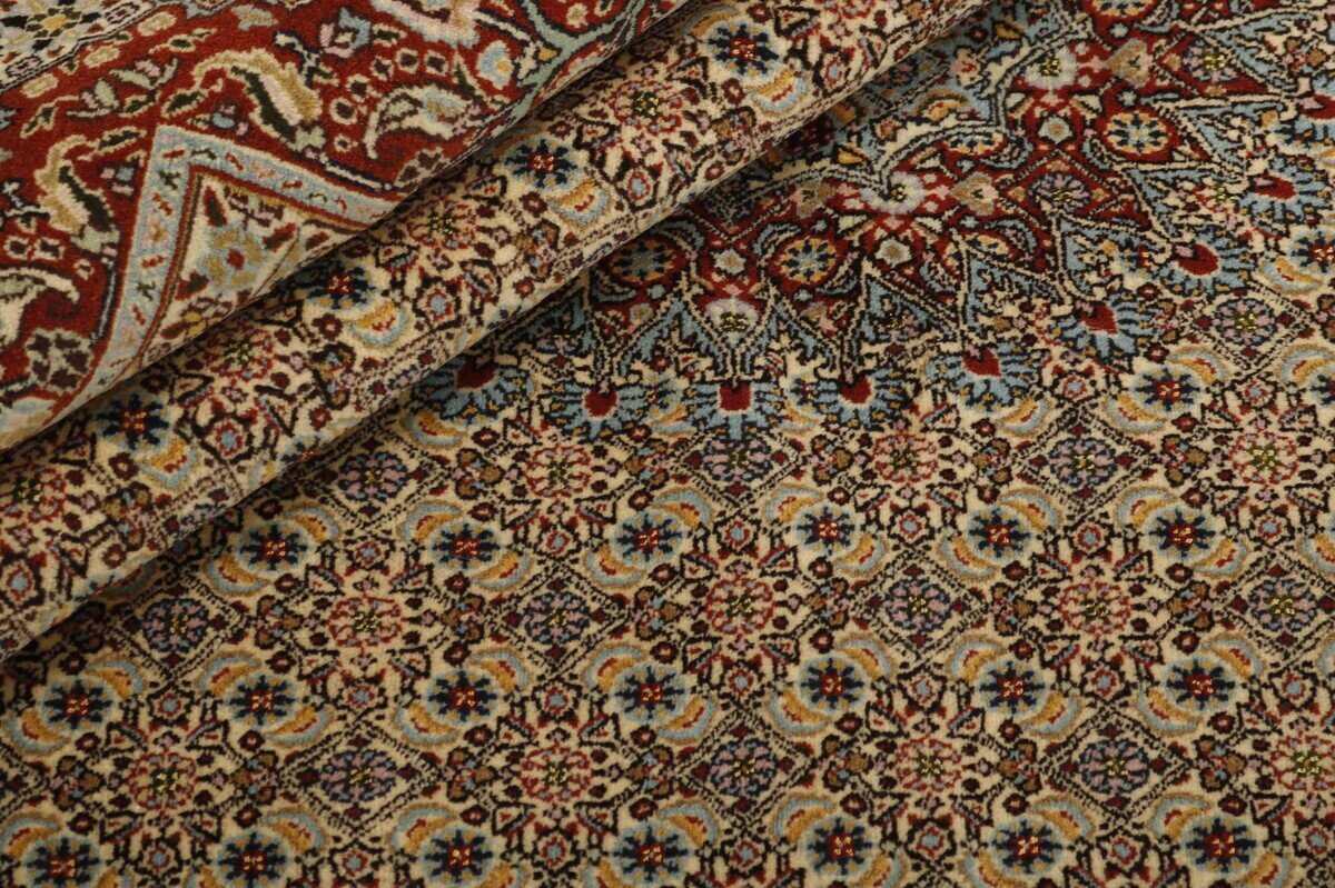 Moud Mahi 1365909