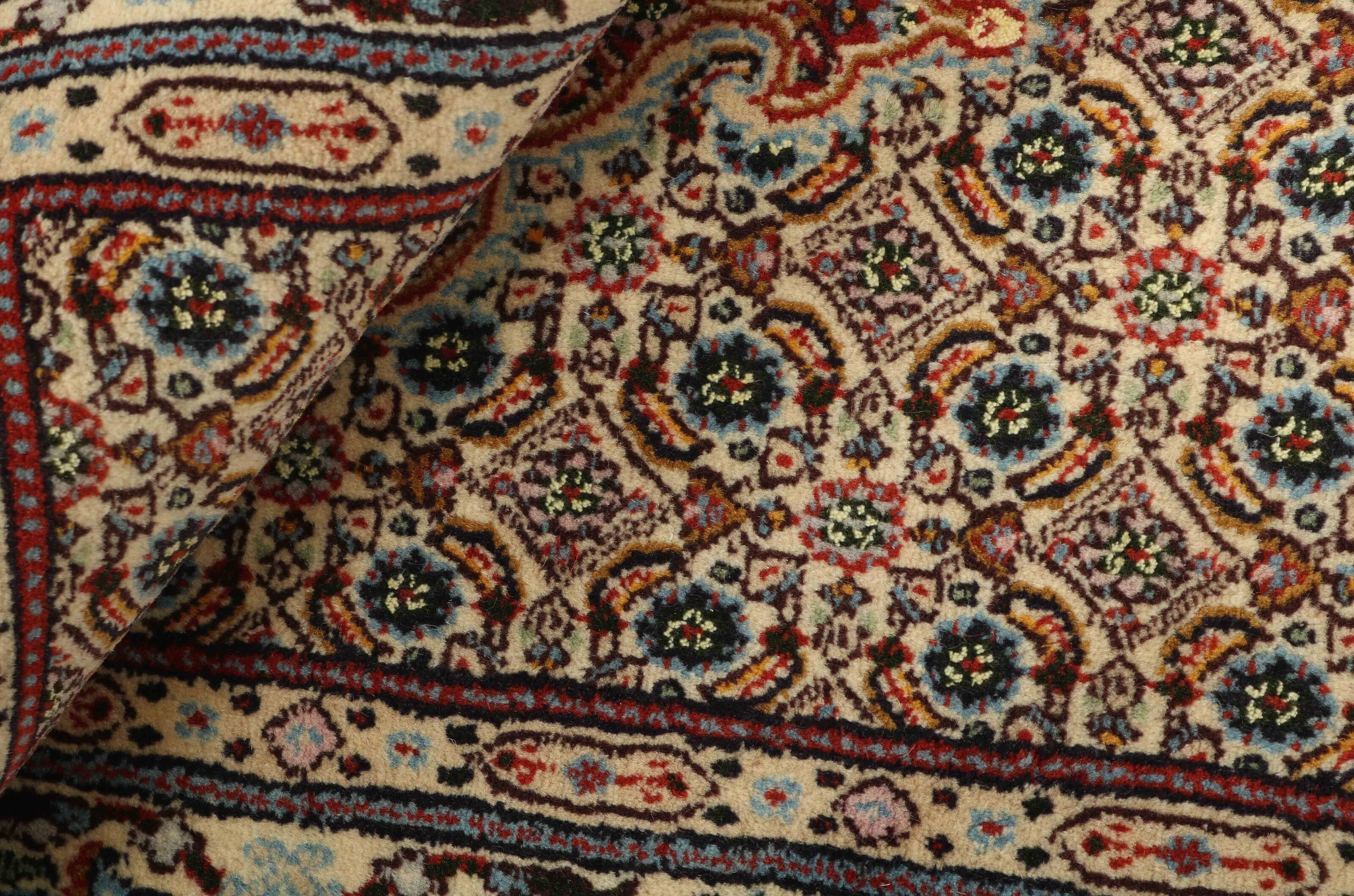 Moud Mahi 1438468