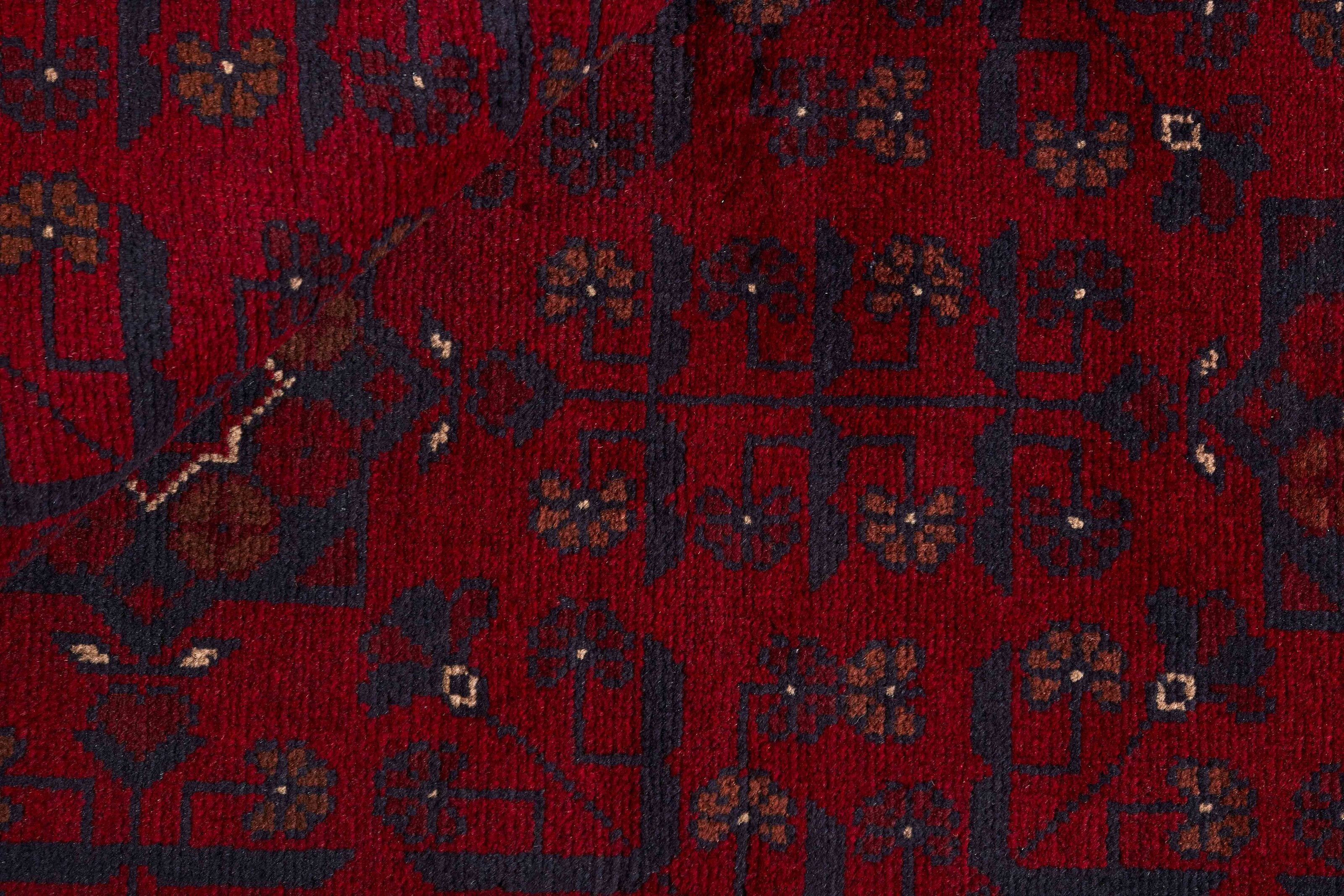 Old Afghan 1441299