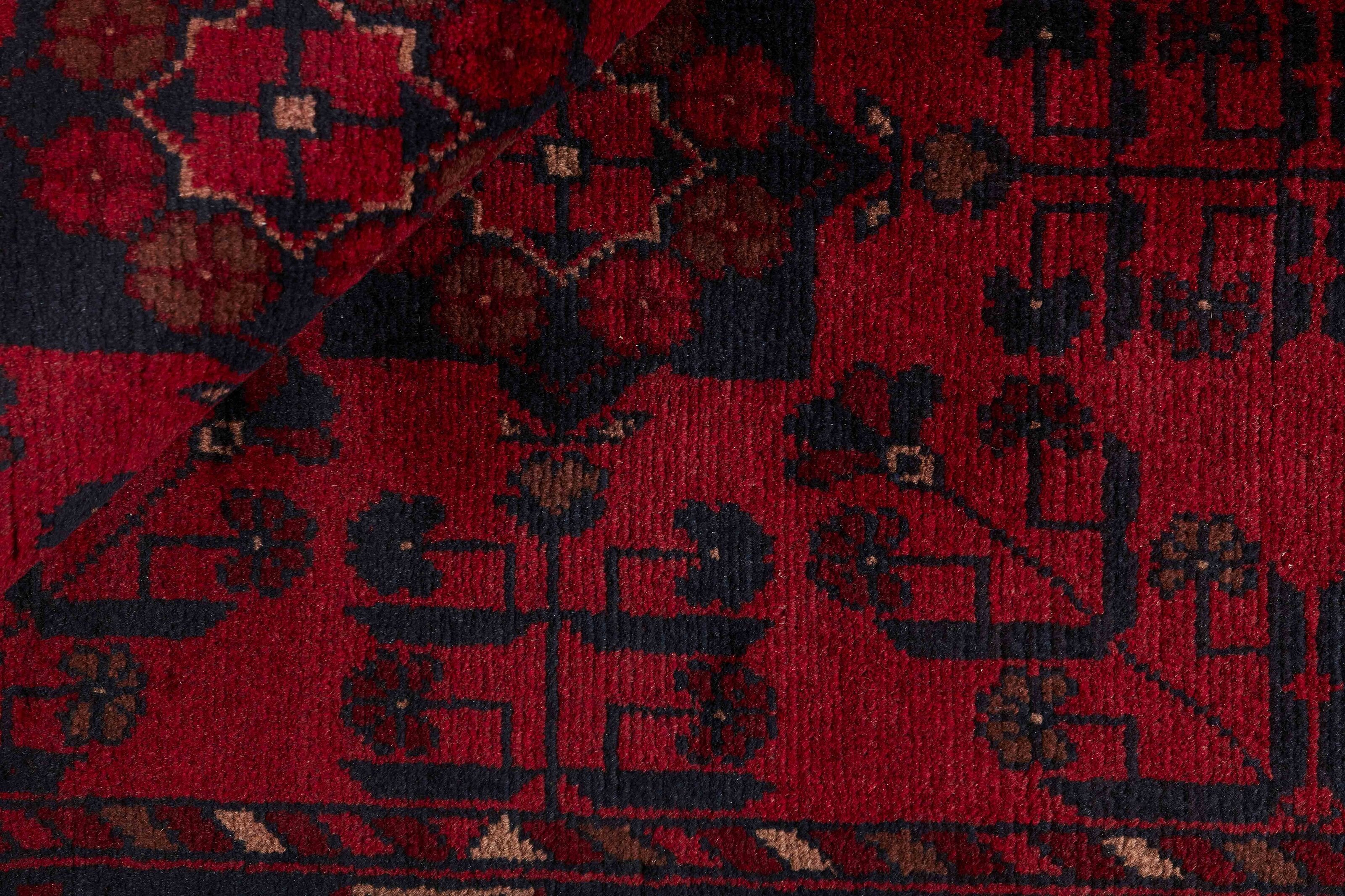 Old Afghan 1441312