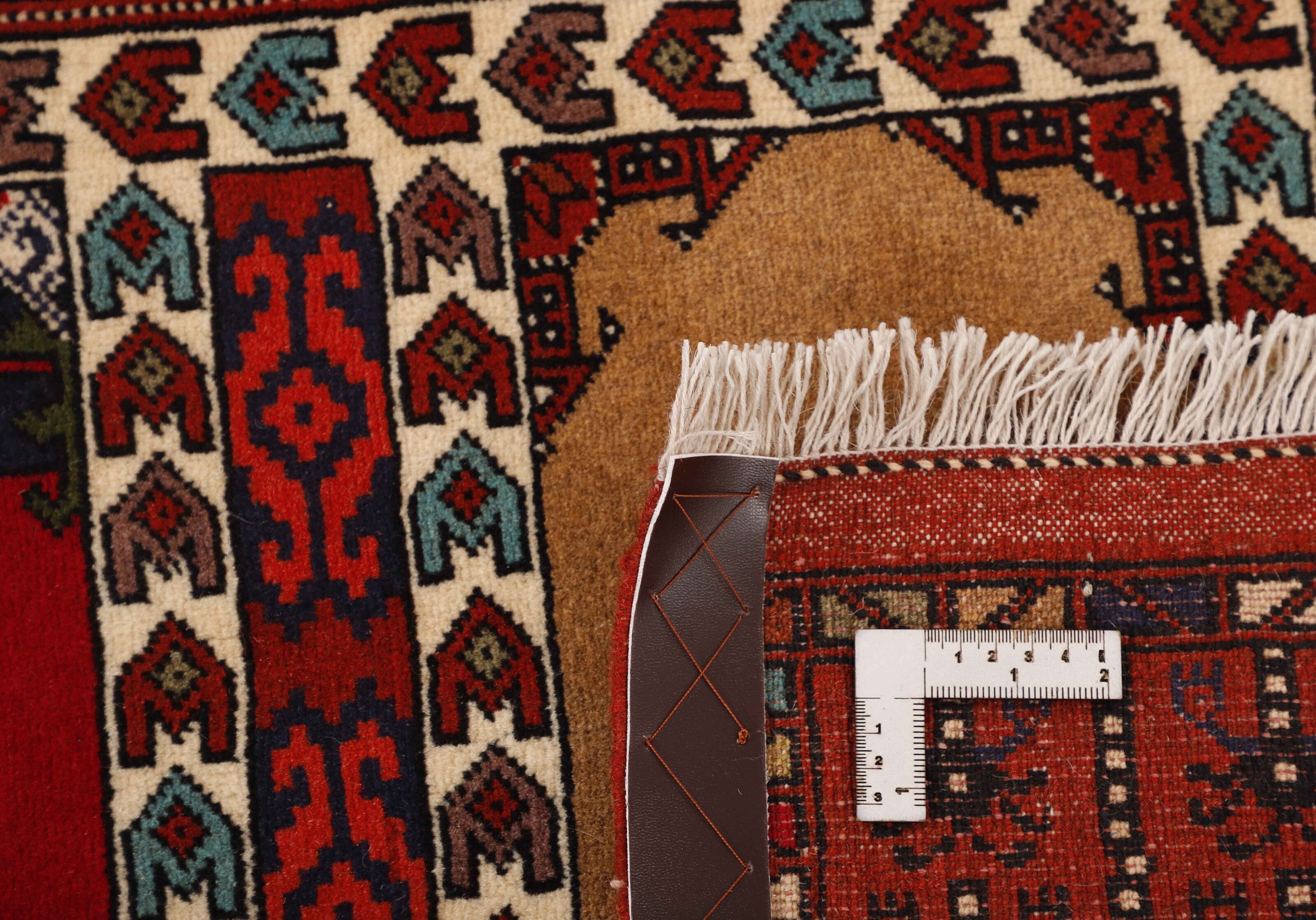 Torkaman Fine Runner