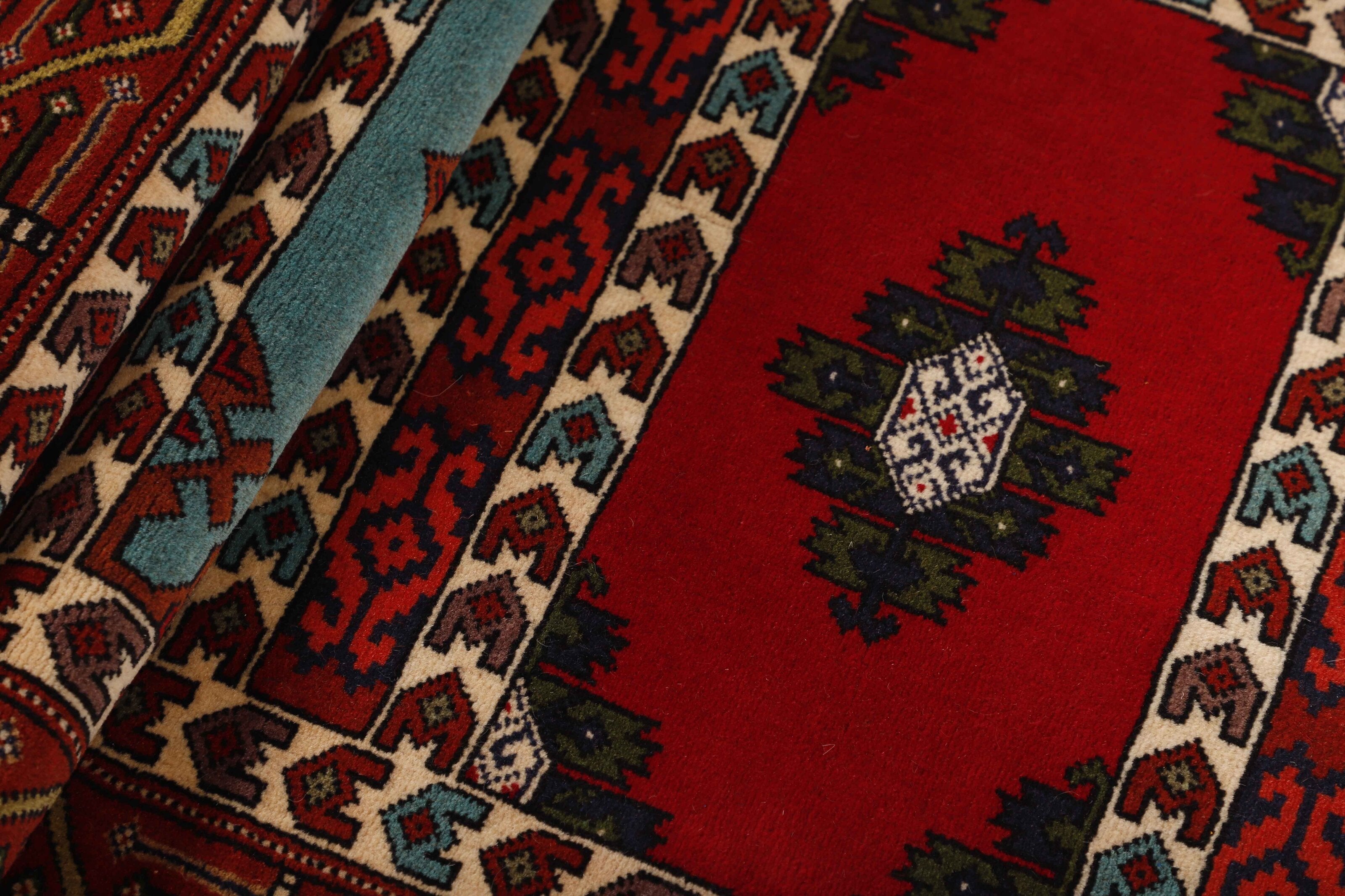 Torkaman Fine Runner