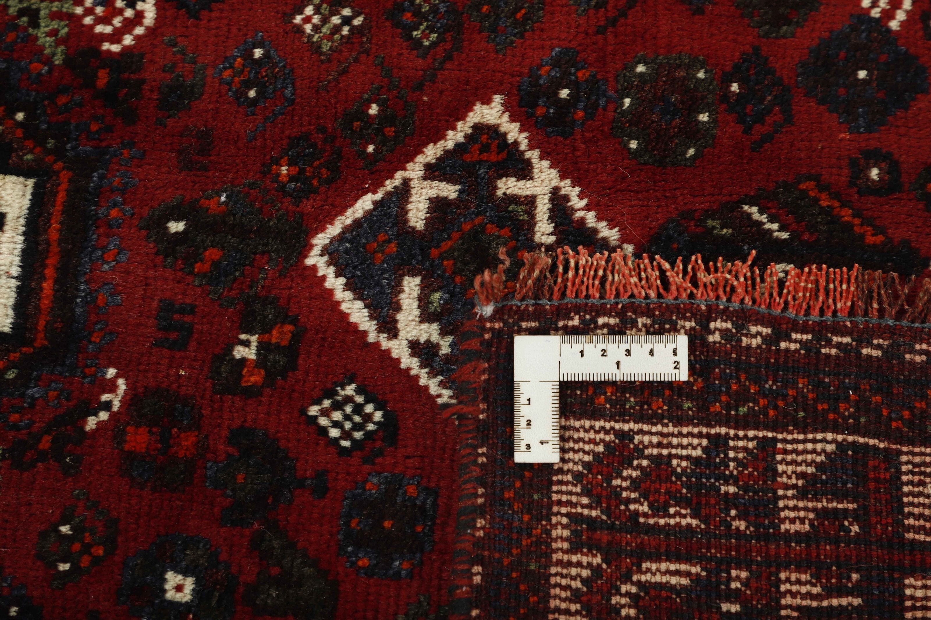 Shiraz 1452806