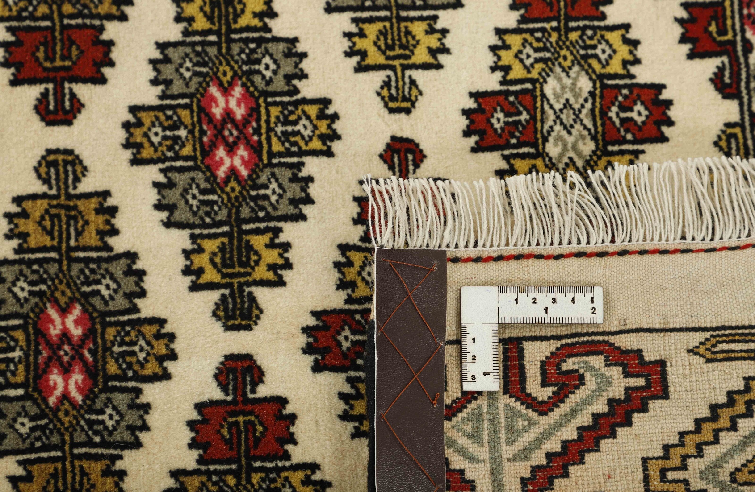 Torkaman Fine Runner 1456954