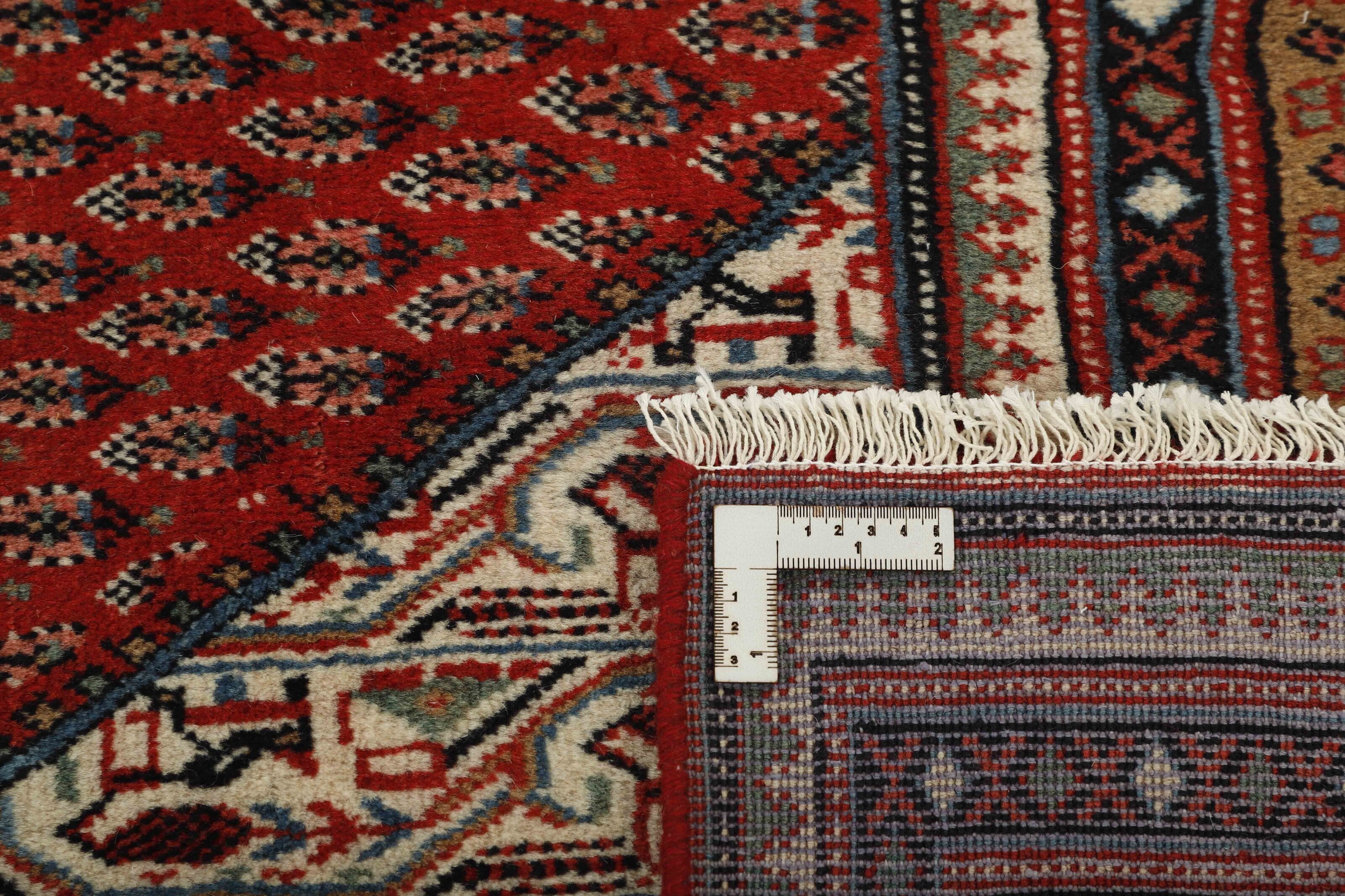 Mir Boteh 1460544