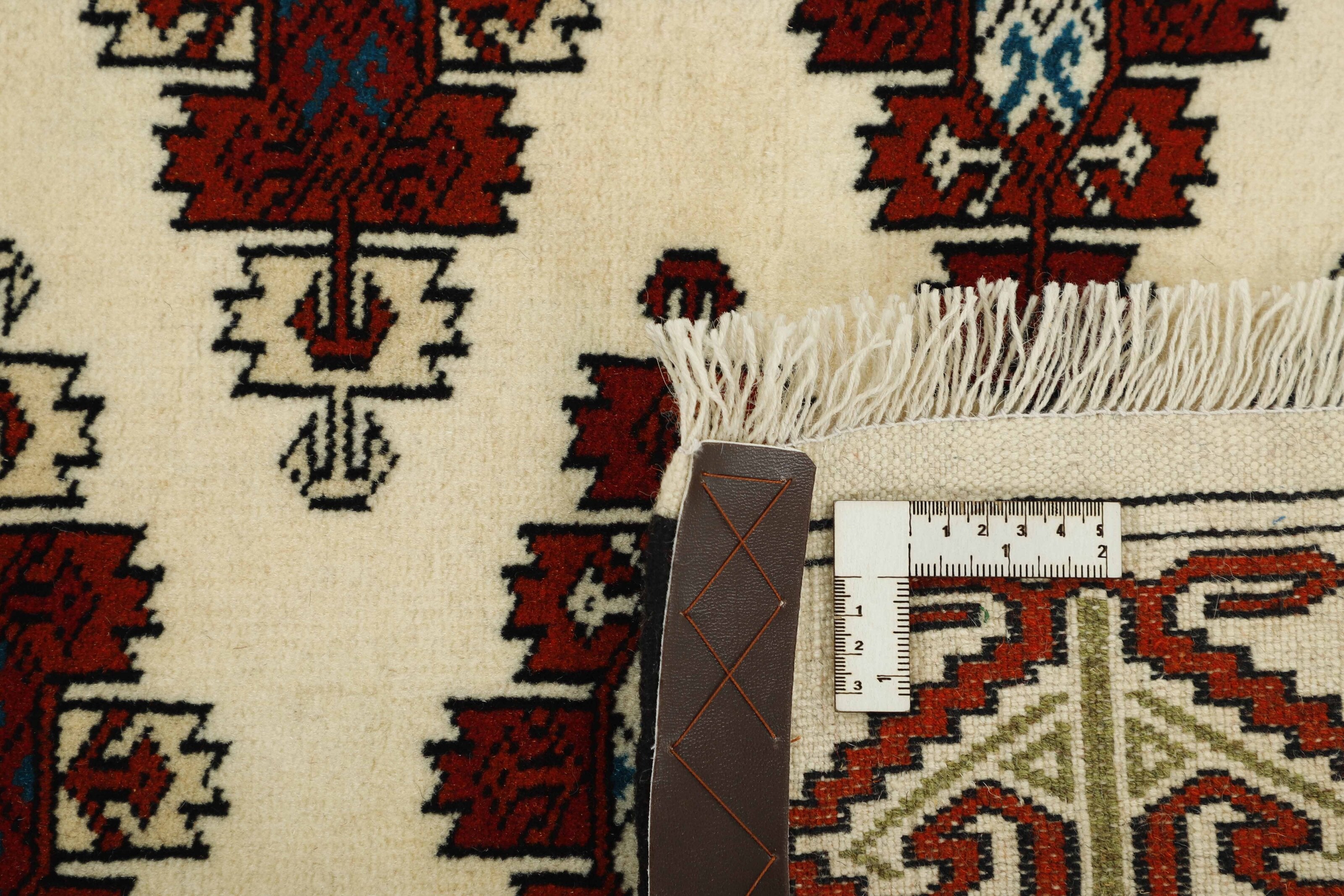 Torkaman Fine Runner 1471529
