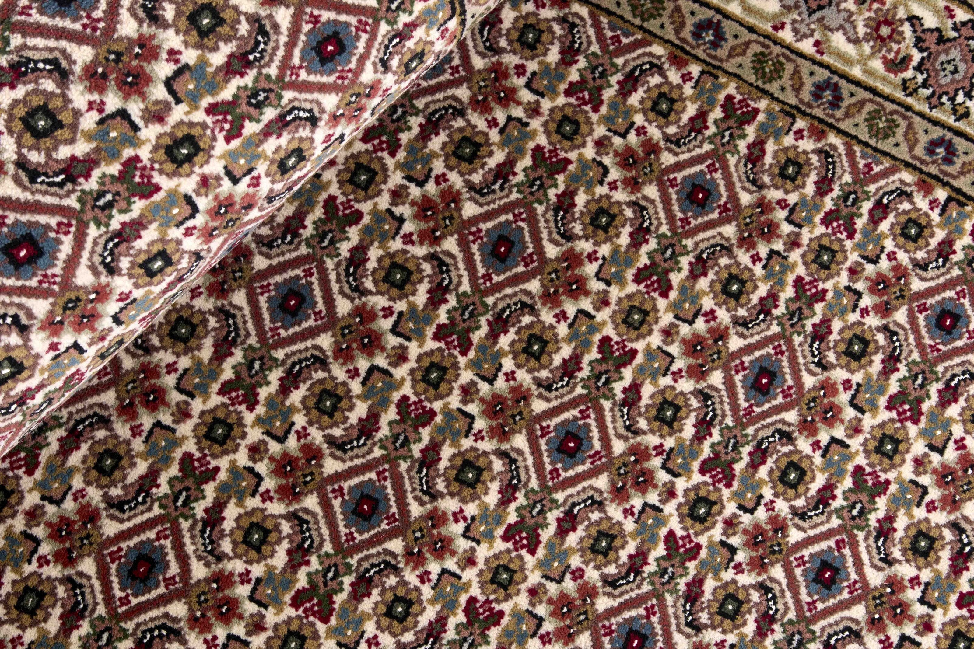 Tabriz Indi Runner 1483671