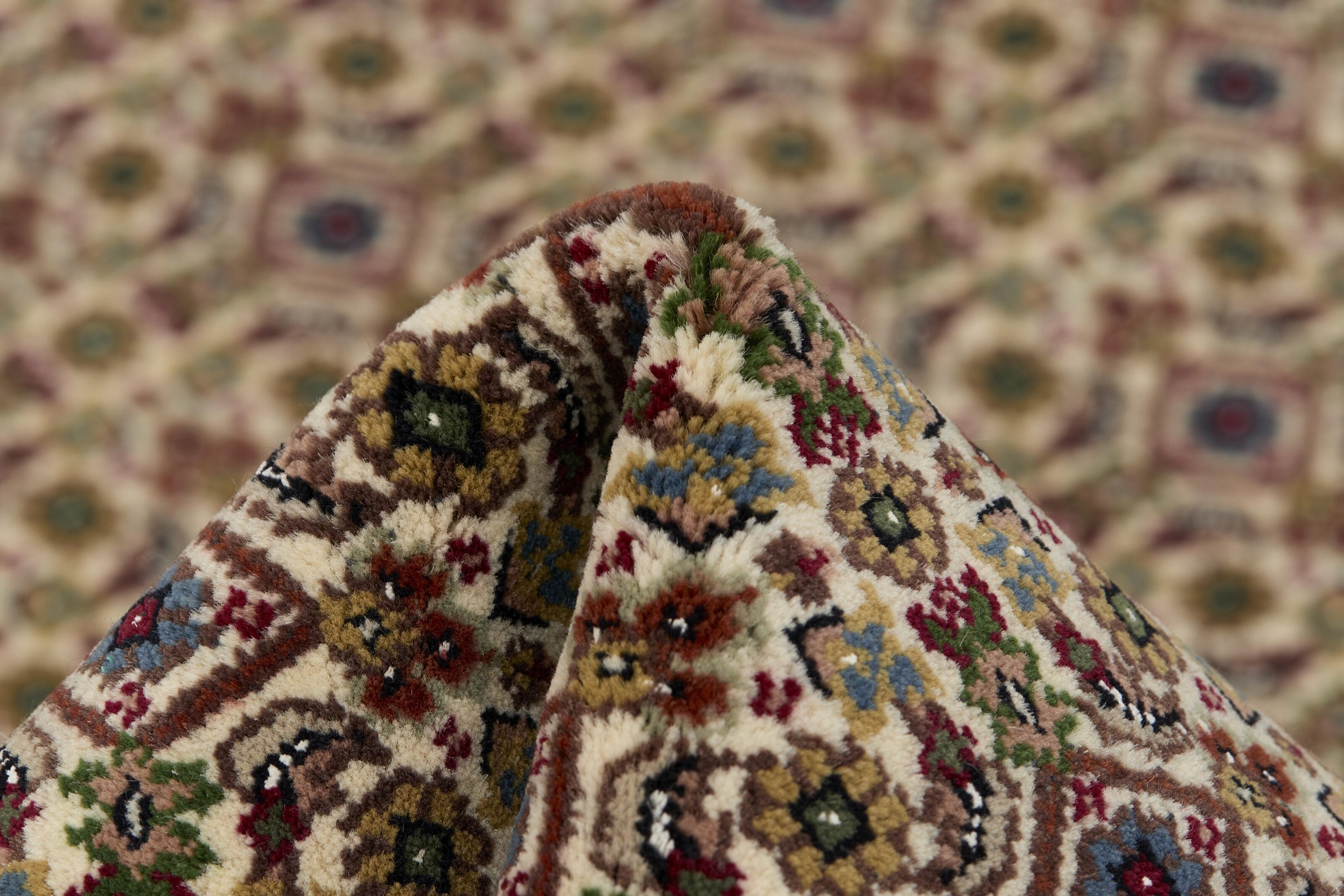Tabriz Indi 1483739