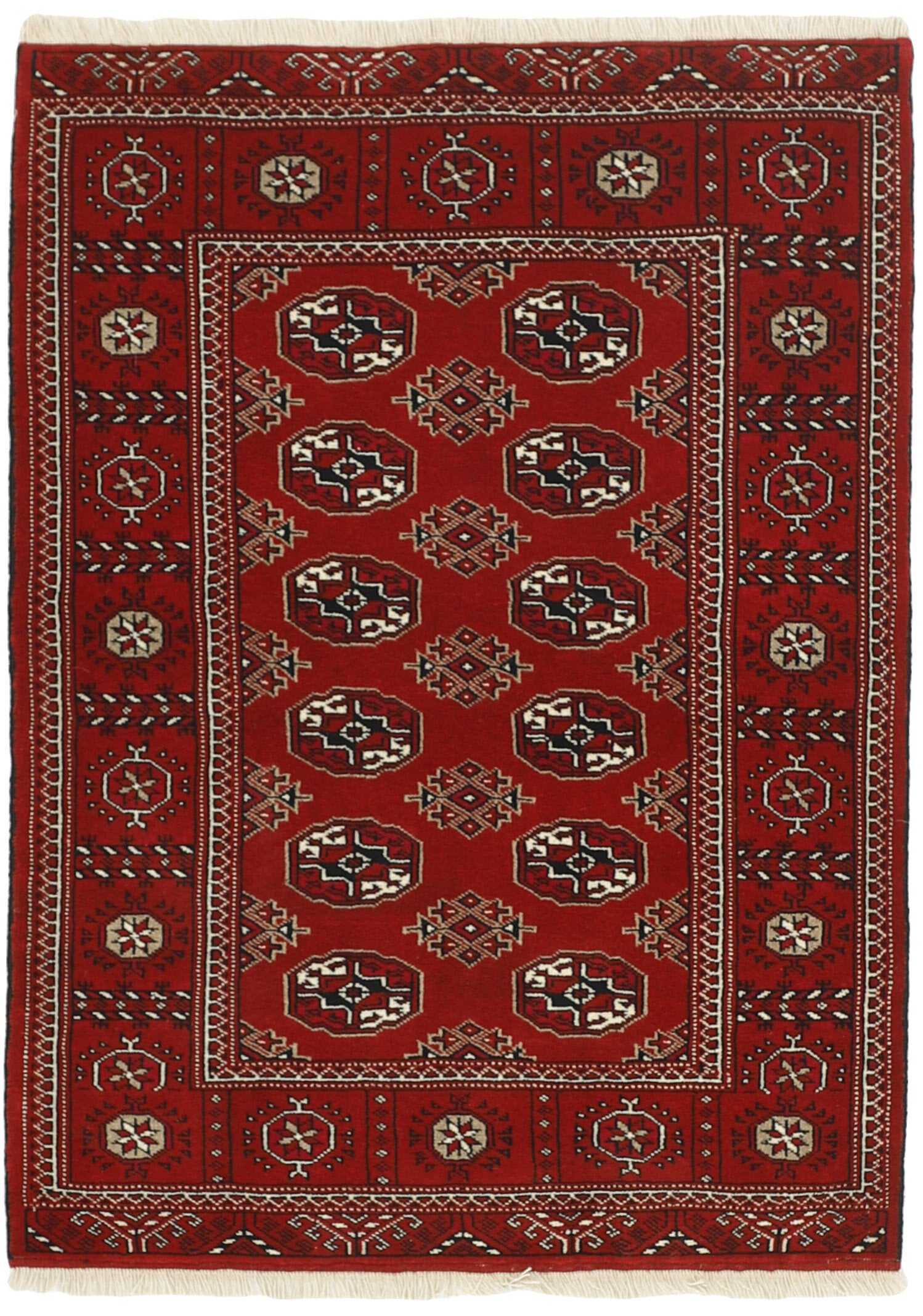 Torkaman 1484946