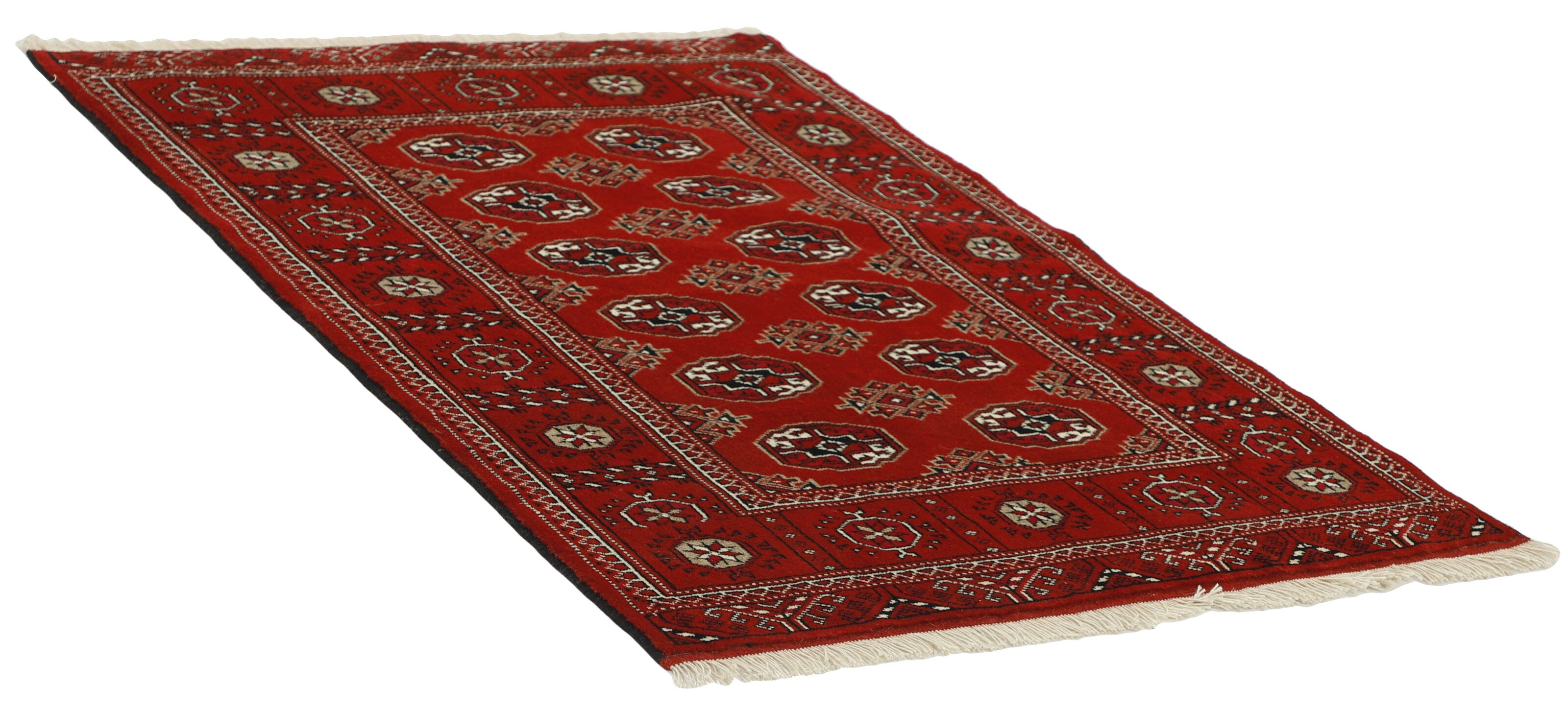Torkaman 1484946