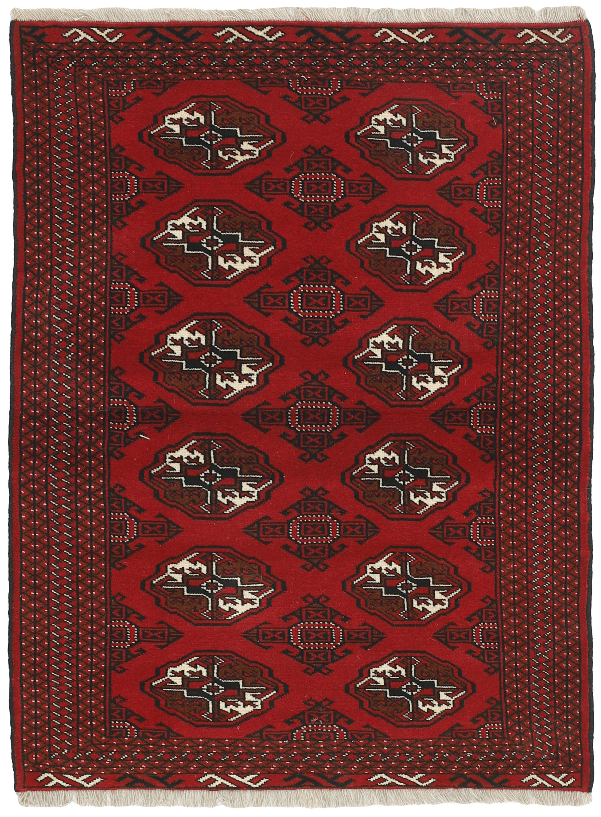 Torkaman 1484952