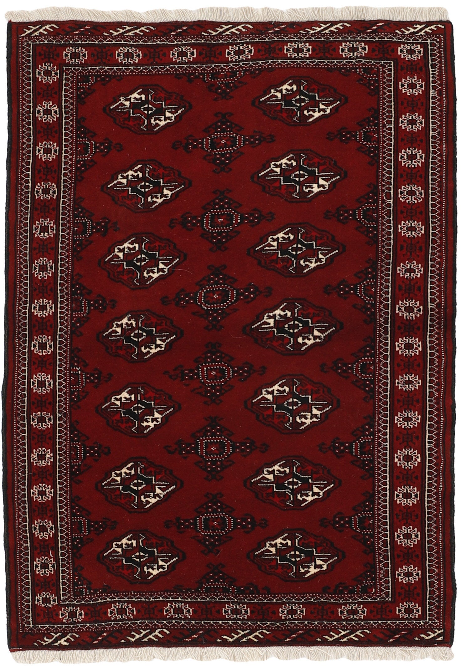 Torkaman 1484956