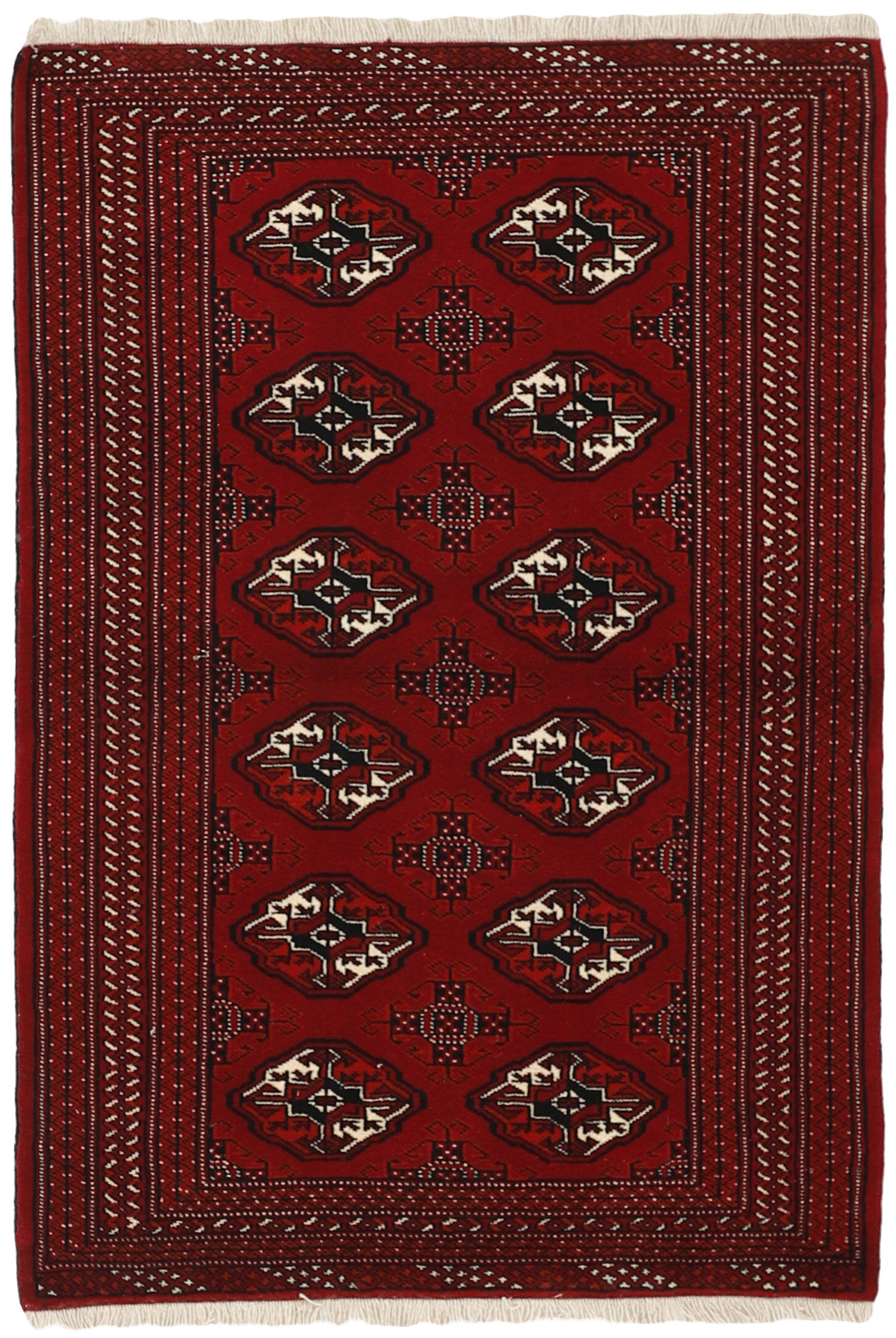 Torkaman 1484957