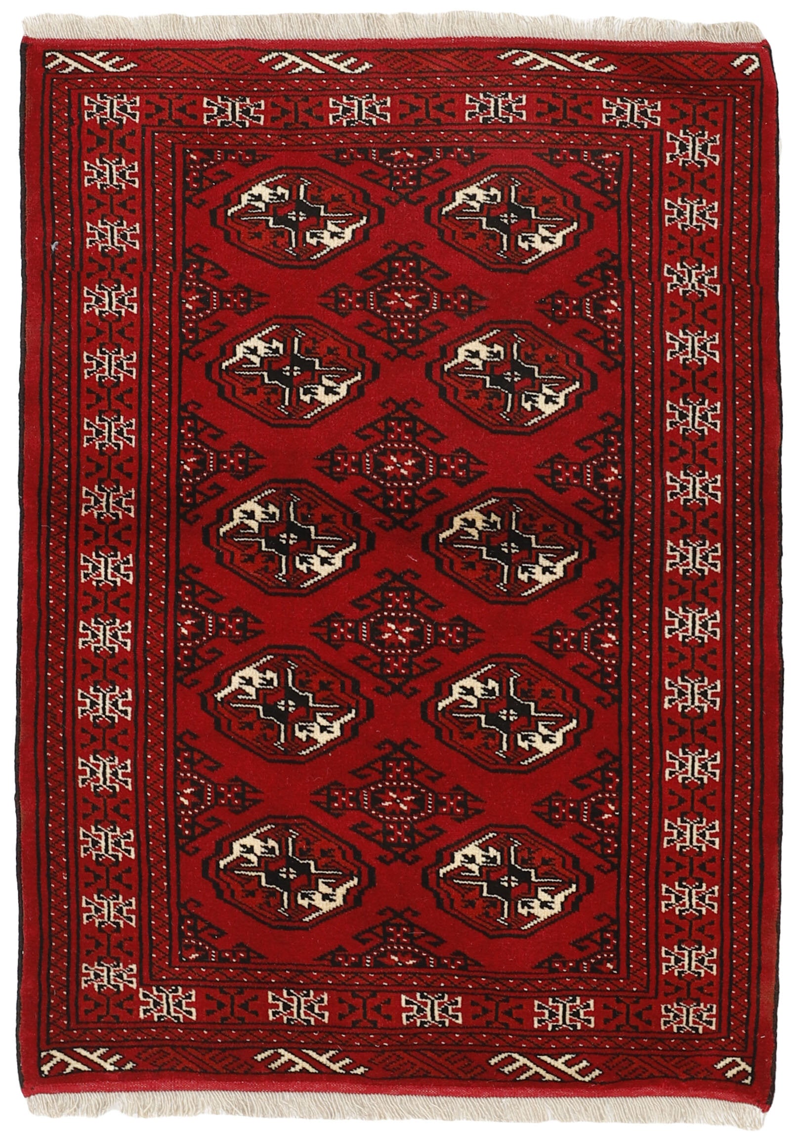 Torkaman 1484975